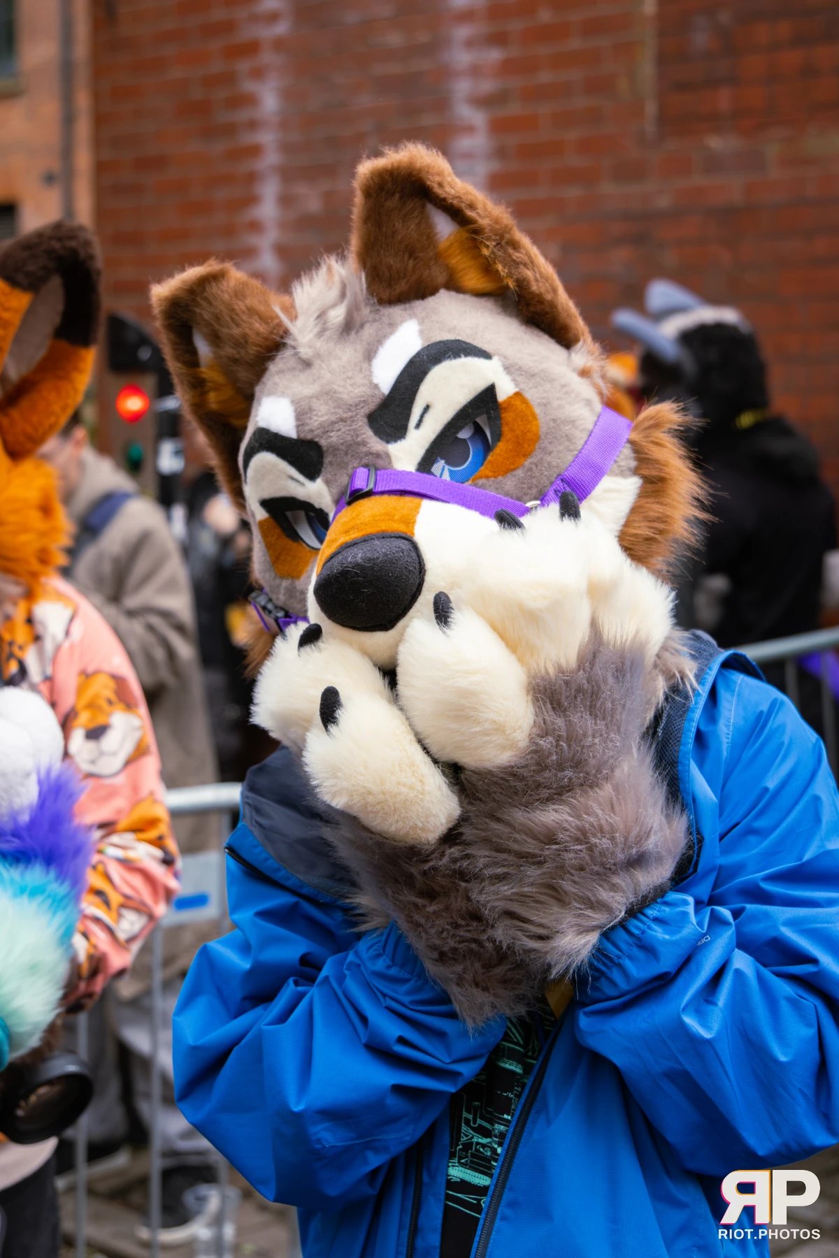 MancFurs - September, 2026 — 12 Sep 2026, Fluffy Riot photography — photo 14