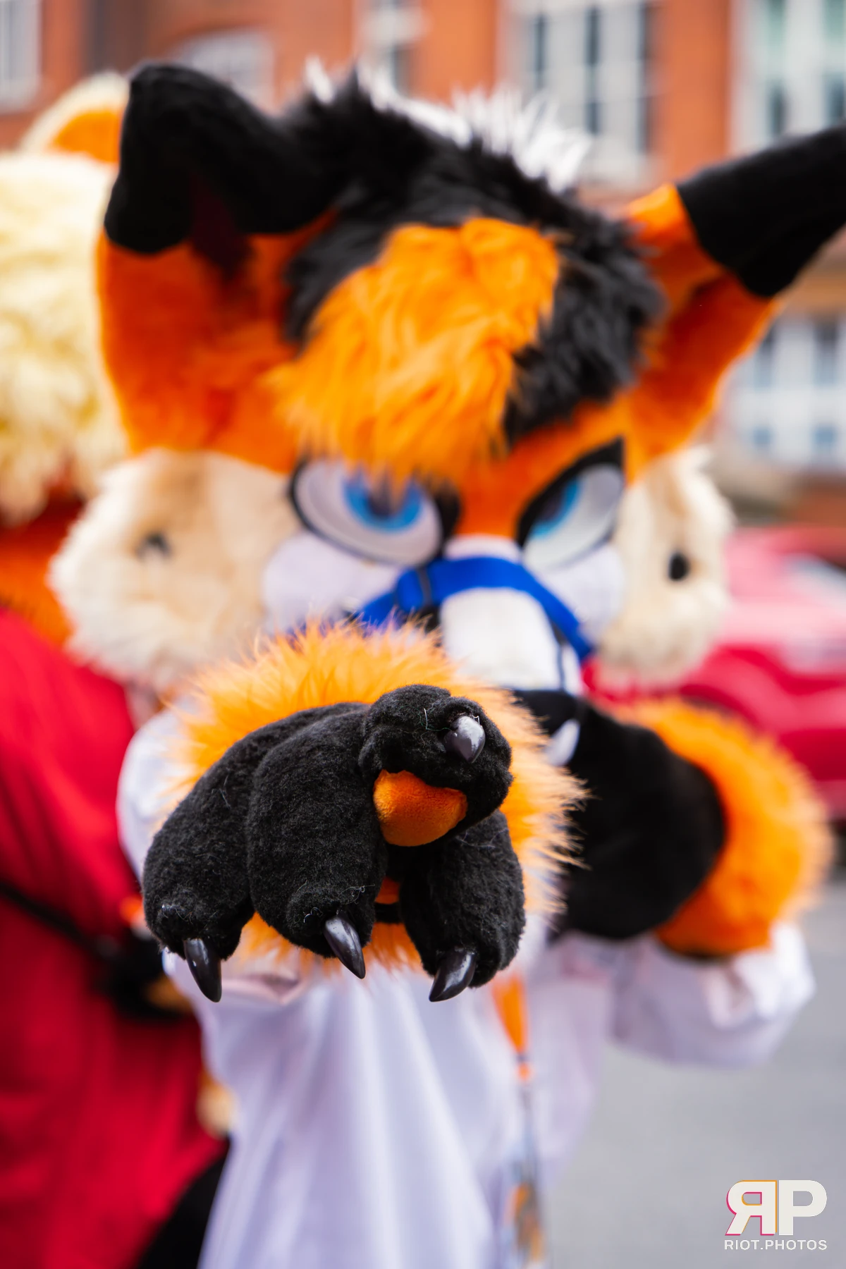 MancFurs - September, 2026 — 12 Sep 2026, Fluffy Riot photography — photo 18