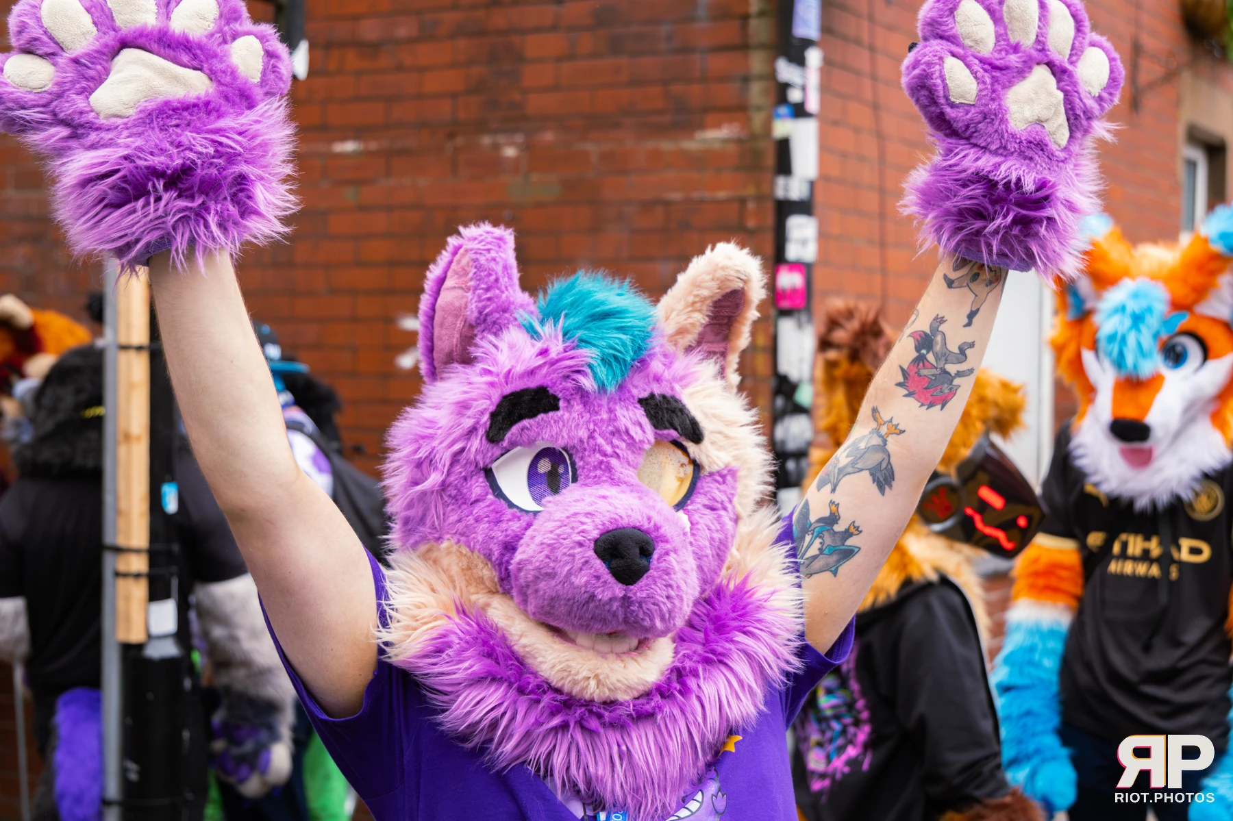 MancFurs - September, 2026 — 12 Sep 2026, Fluffy Riot photography — photo 19