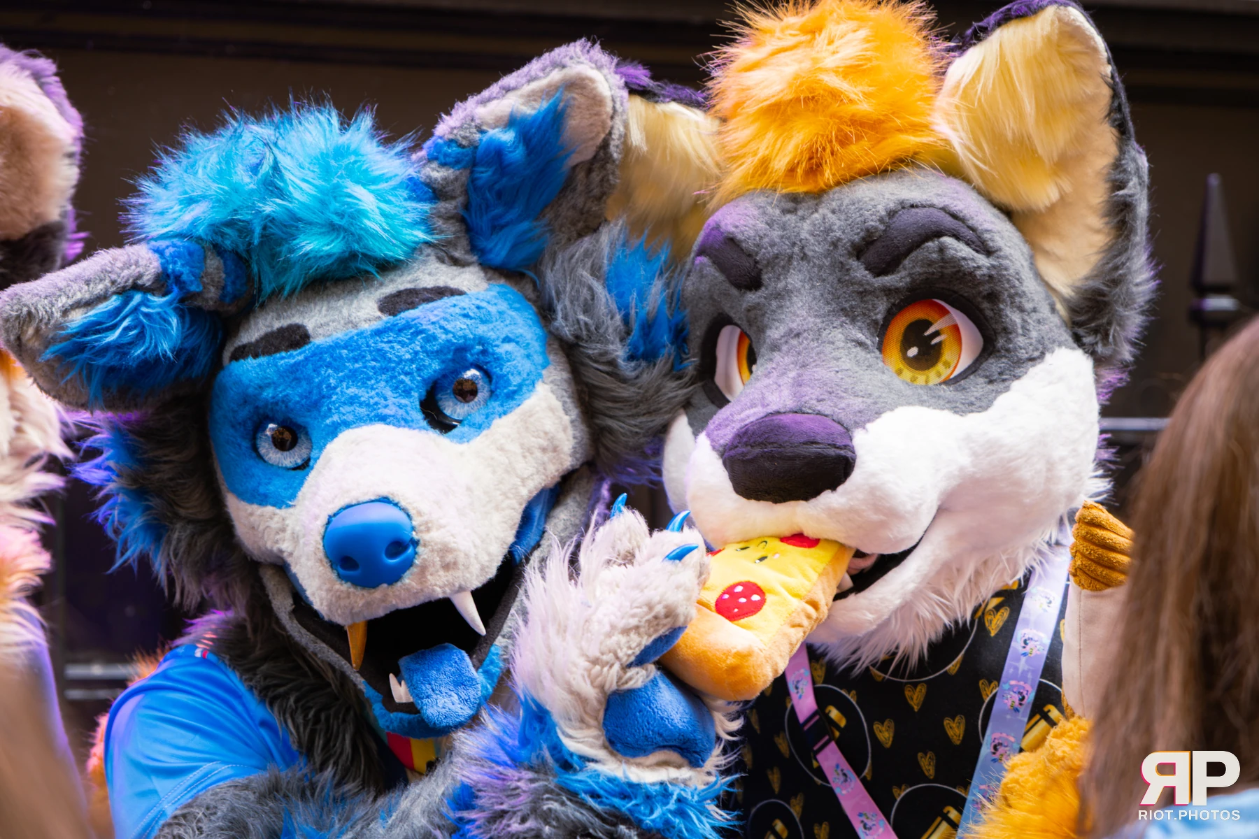 MancFurs - September, 2026 — 12 Sep 2026, Fluffy Riot photography — photo 22