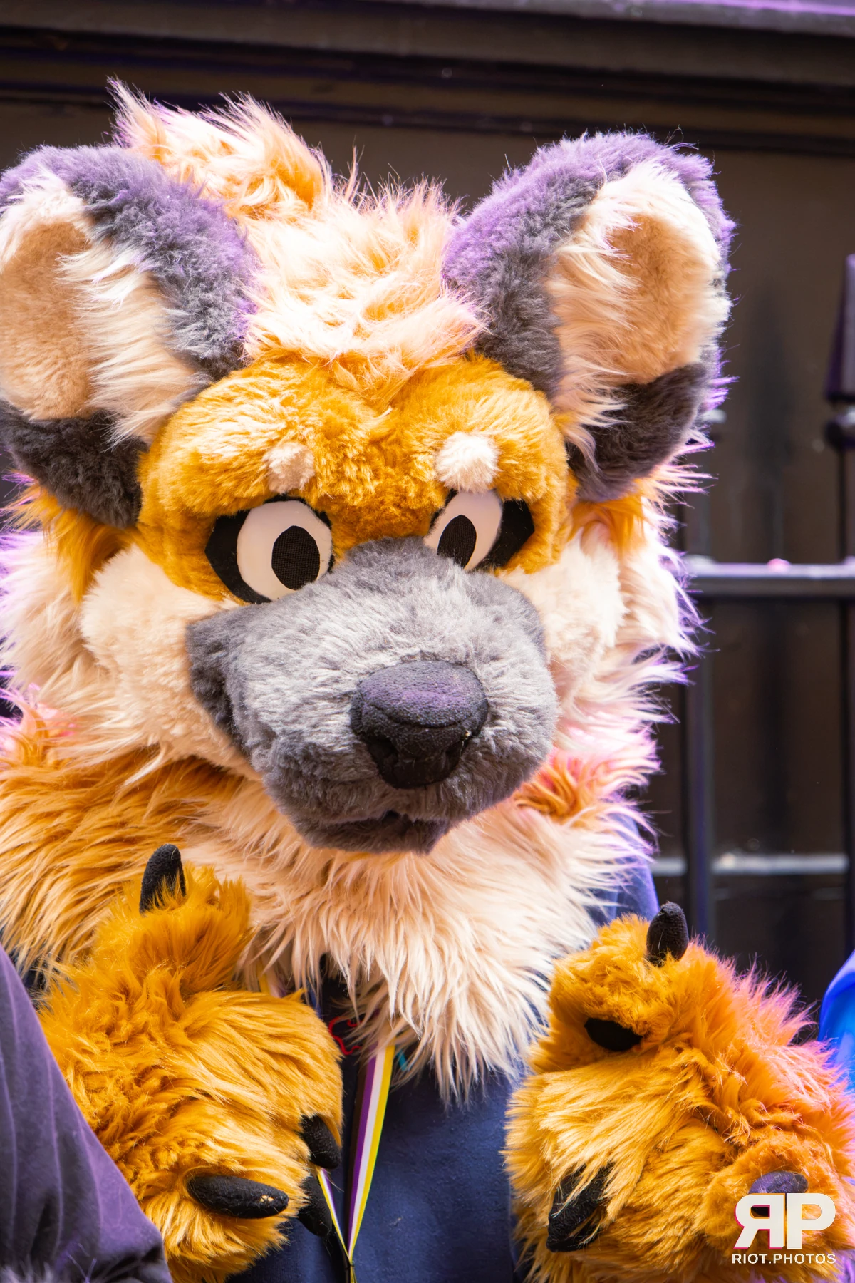 MancFurs - September, 2026 — 12 Sep 2026, Fluffy Riot photography — photo 23