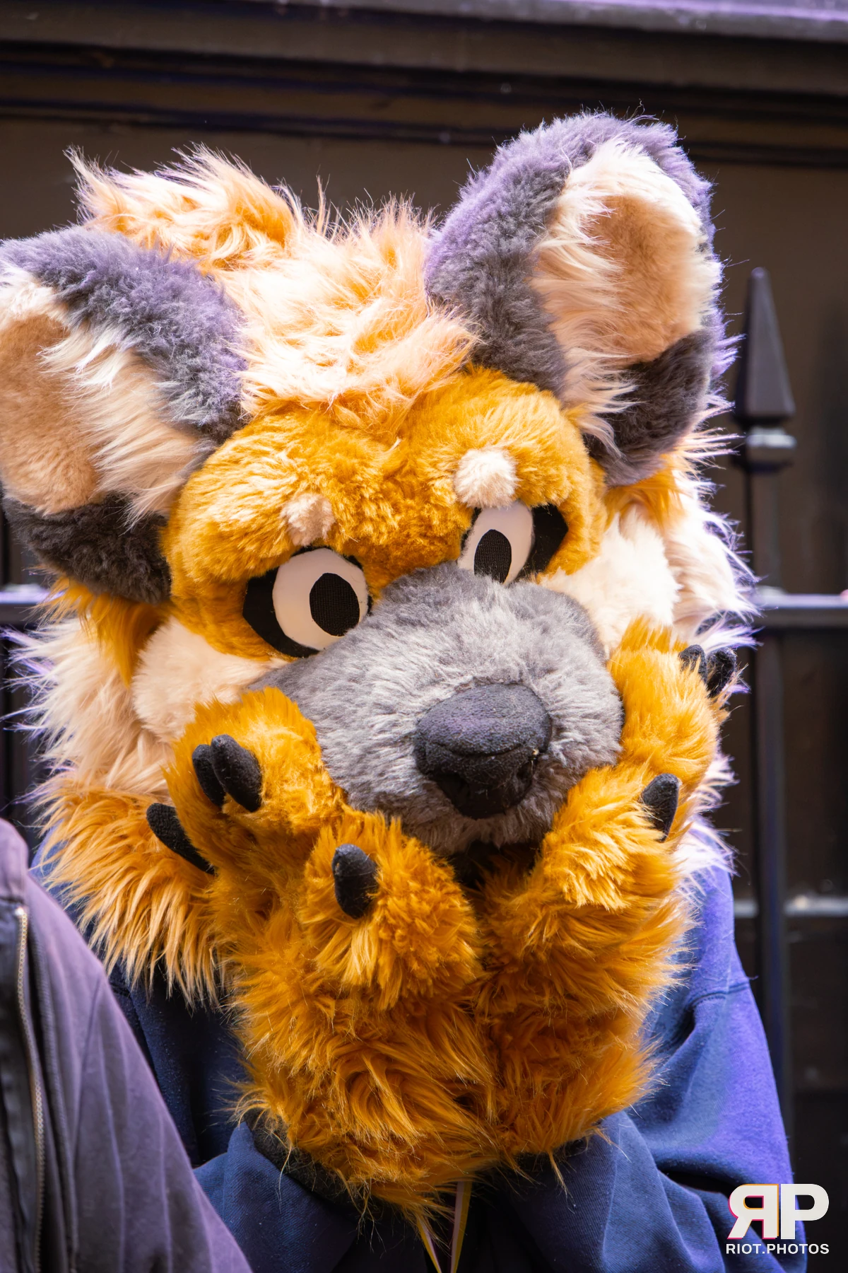 MancFurs - September, 2026 — 12 Sep 2026, Fluffy Riot photography — photo 24