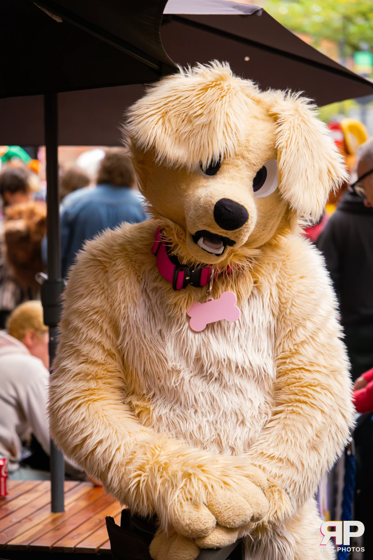 MancFurs - September, 2026 — 12 Sep 2026, Fluffy Riot photography — photo 29