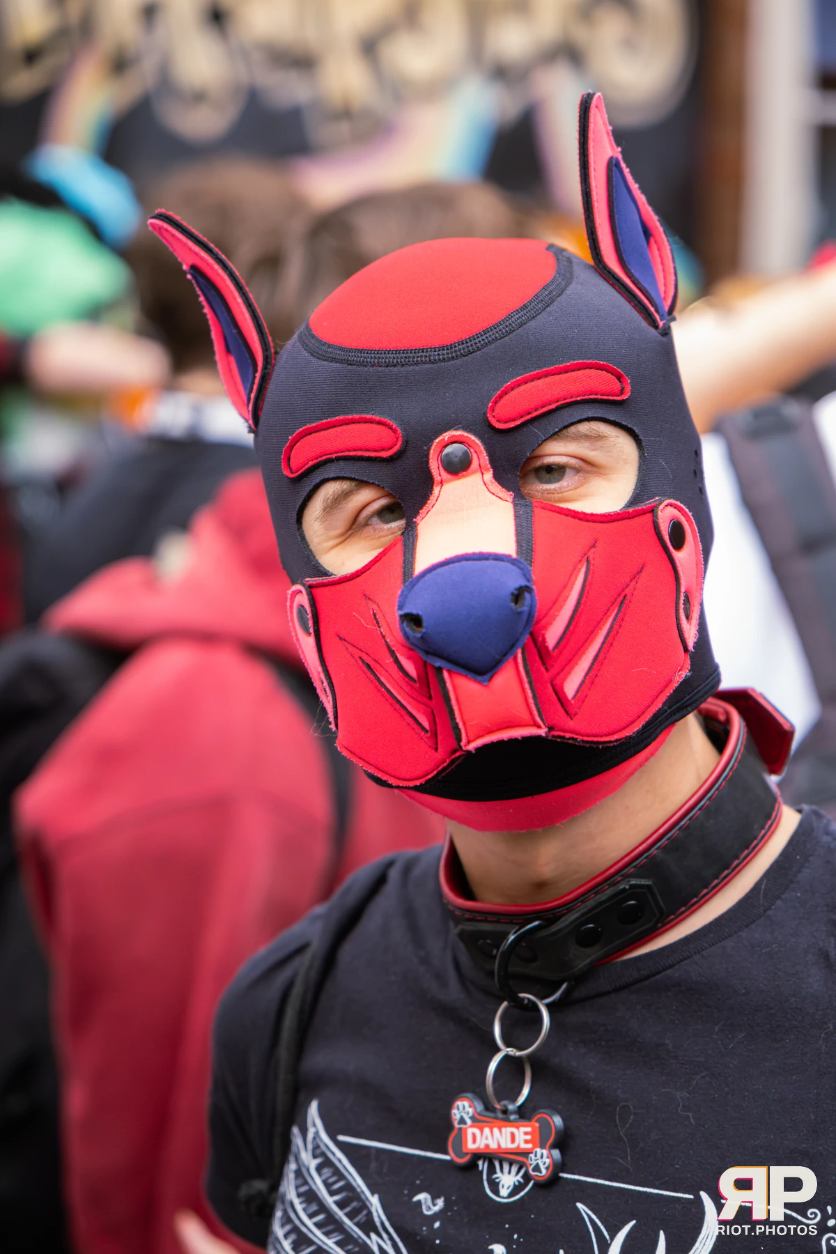 MancFurs - September, 2026 — 12 Sep 2026, Fluffy Riot photography — photo 32