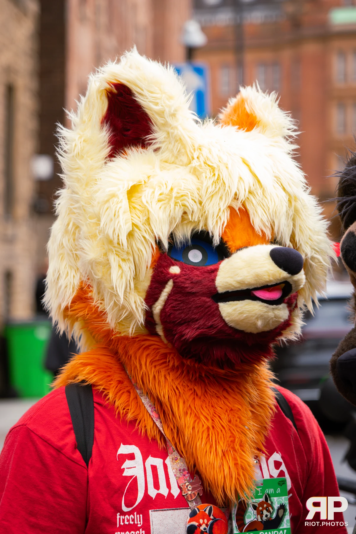 MancFurs - September, 2026 — 12 Sep 2026, Fluffy Riot photography — photo 35