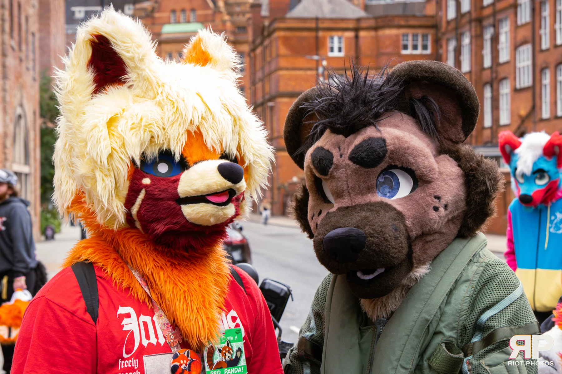 MancFurs - September, 2026 — 12 Sep 2026, Fluffy Riot photography — photo 36