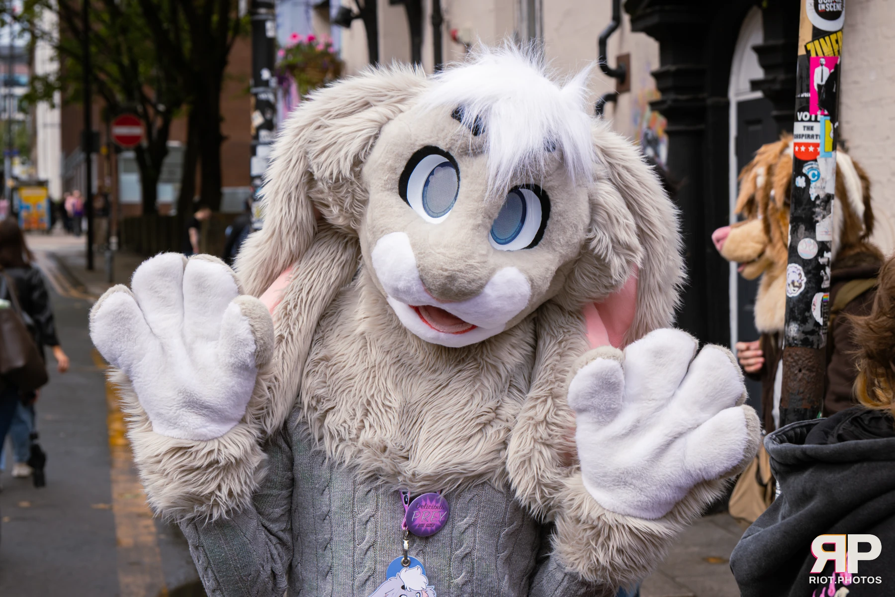 MancFurs - September, 2026 — 12 Sep 2026, Fluffy Riot photography — photo 37