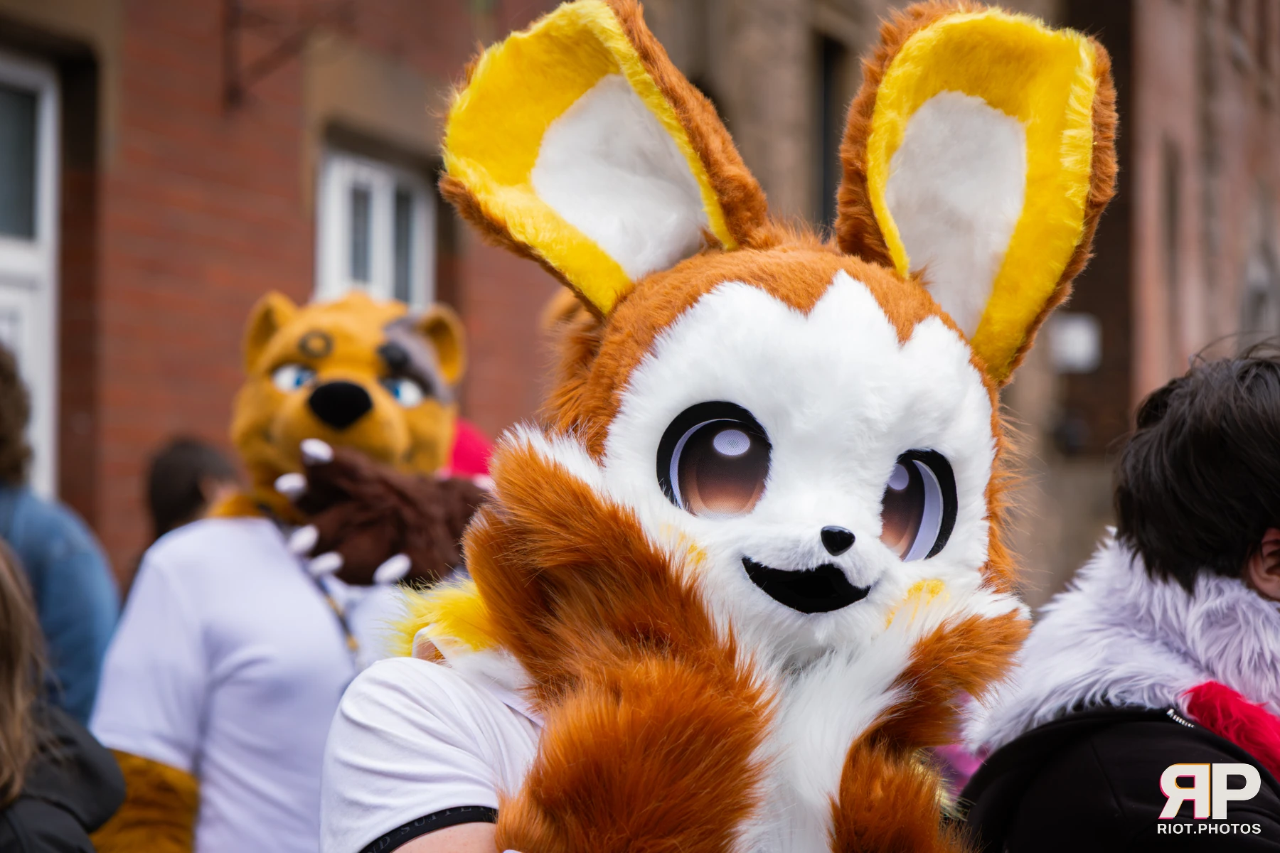 MancFurs - September, 2026 — 12 Sep 2026, Fluffy Riot photography — photo 39