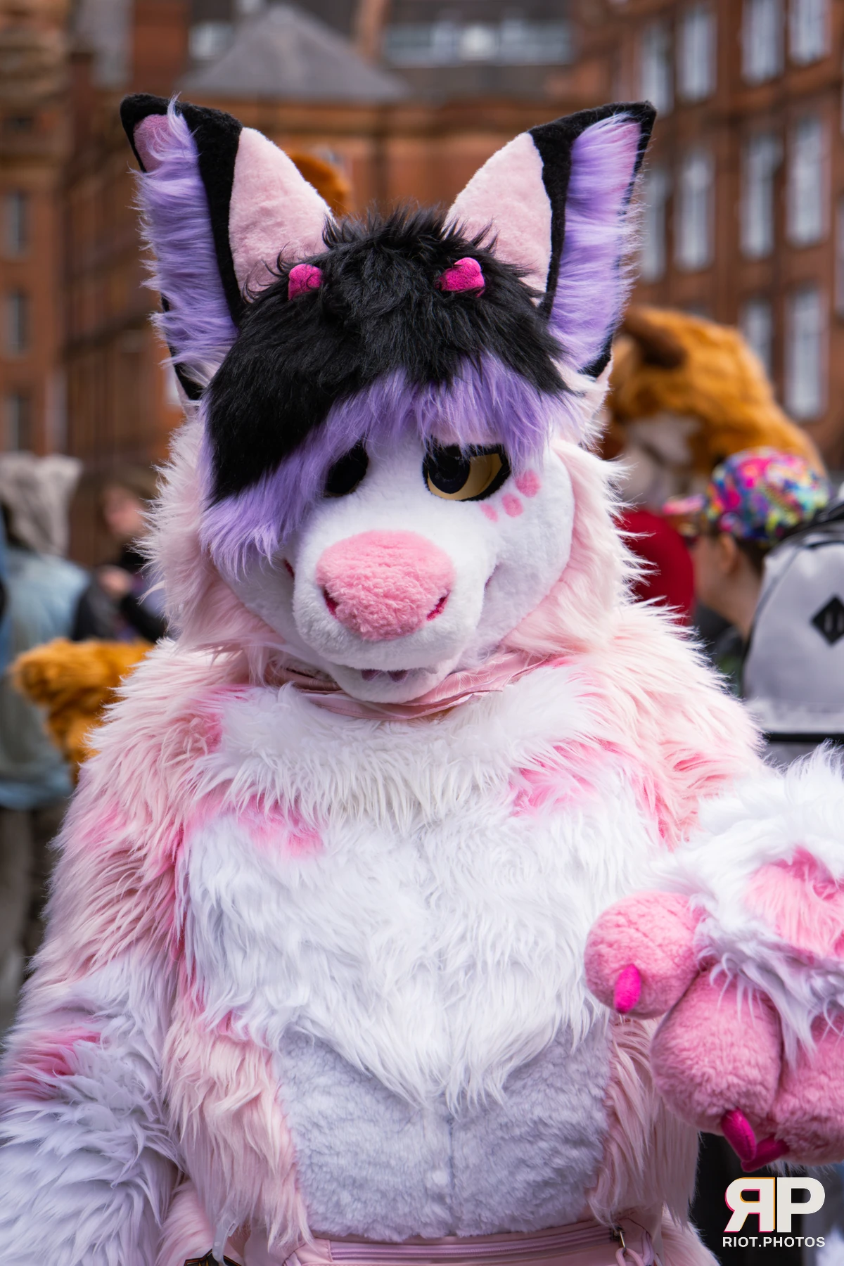 MancFurs - September, 2026 — 12 Sep 2026, Fluffy Riot photography — photo 45