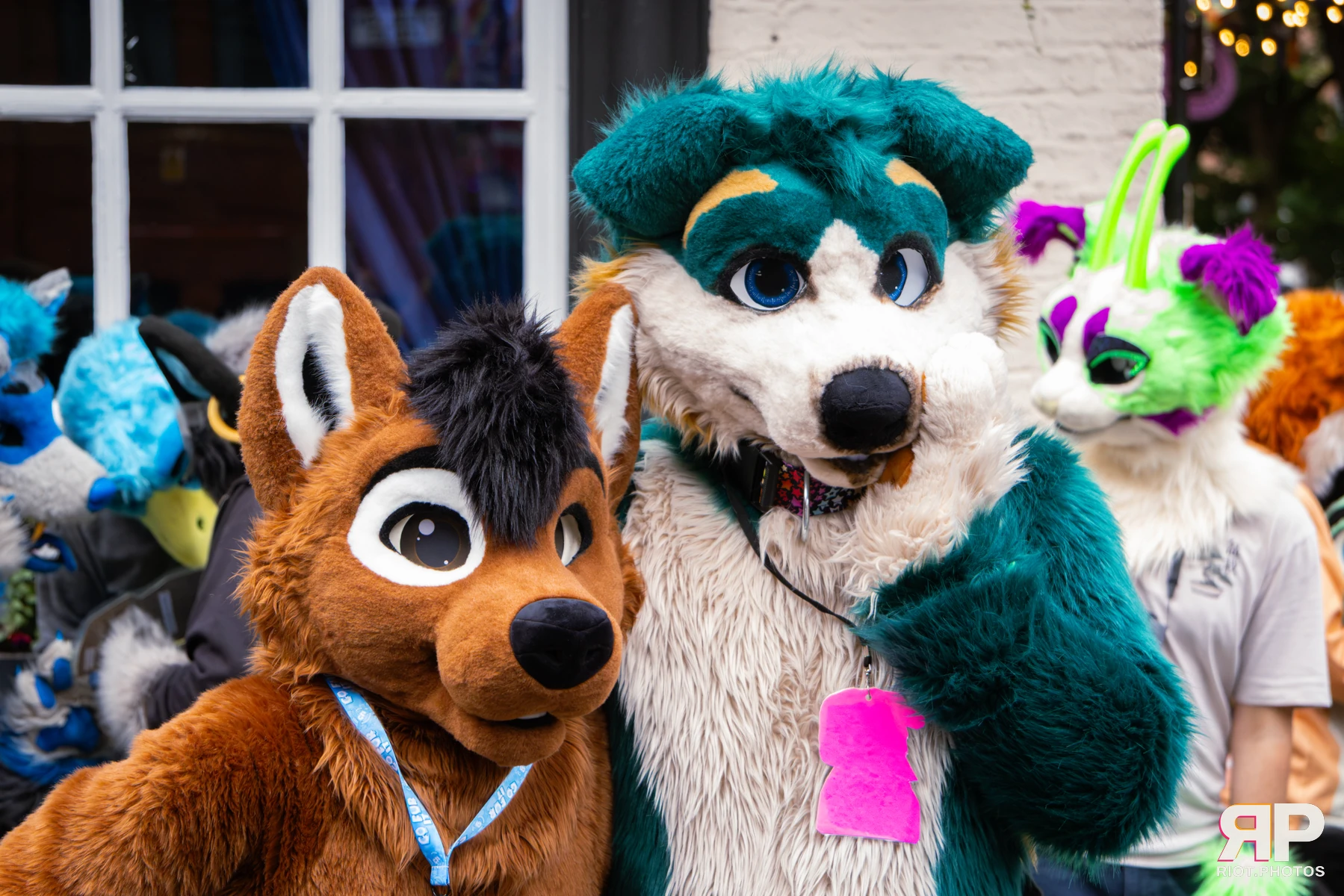 MancFurs - September, 2026 — 12 Sep 2026, Fluffy Riot photography — photo 46