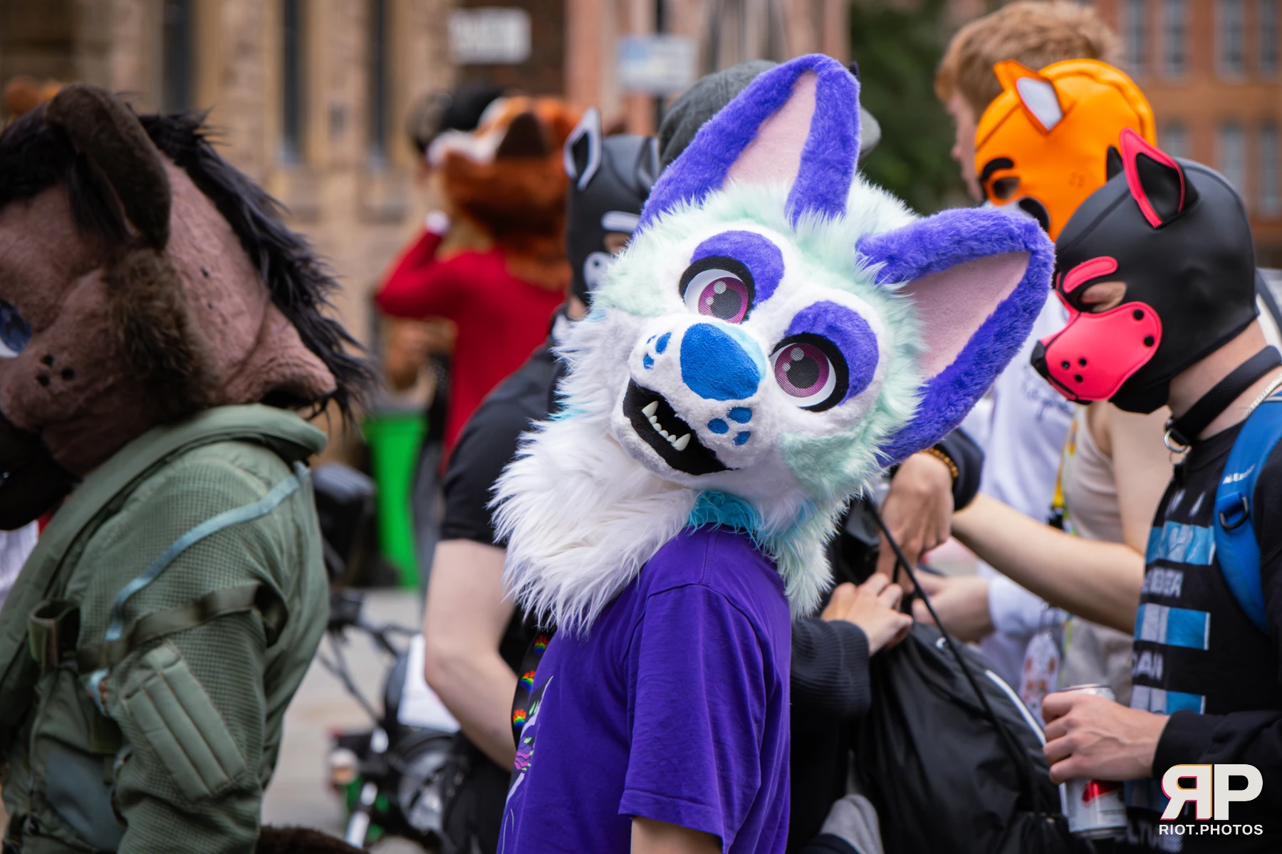 MancFurs - September, 2026 — 12 Sep 2026, Fluffy Riot photography — photo 48