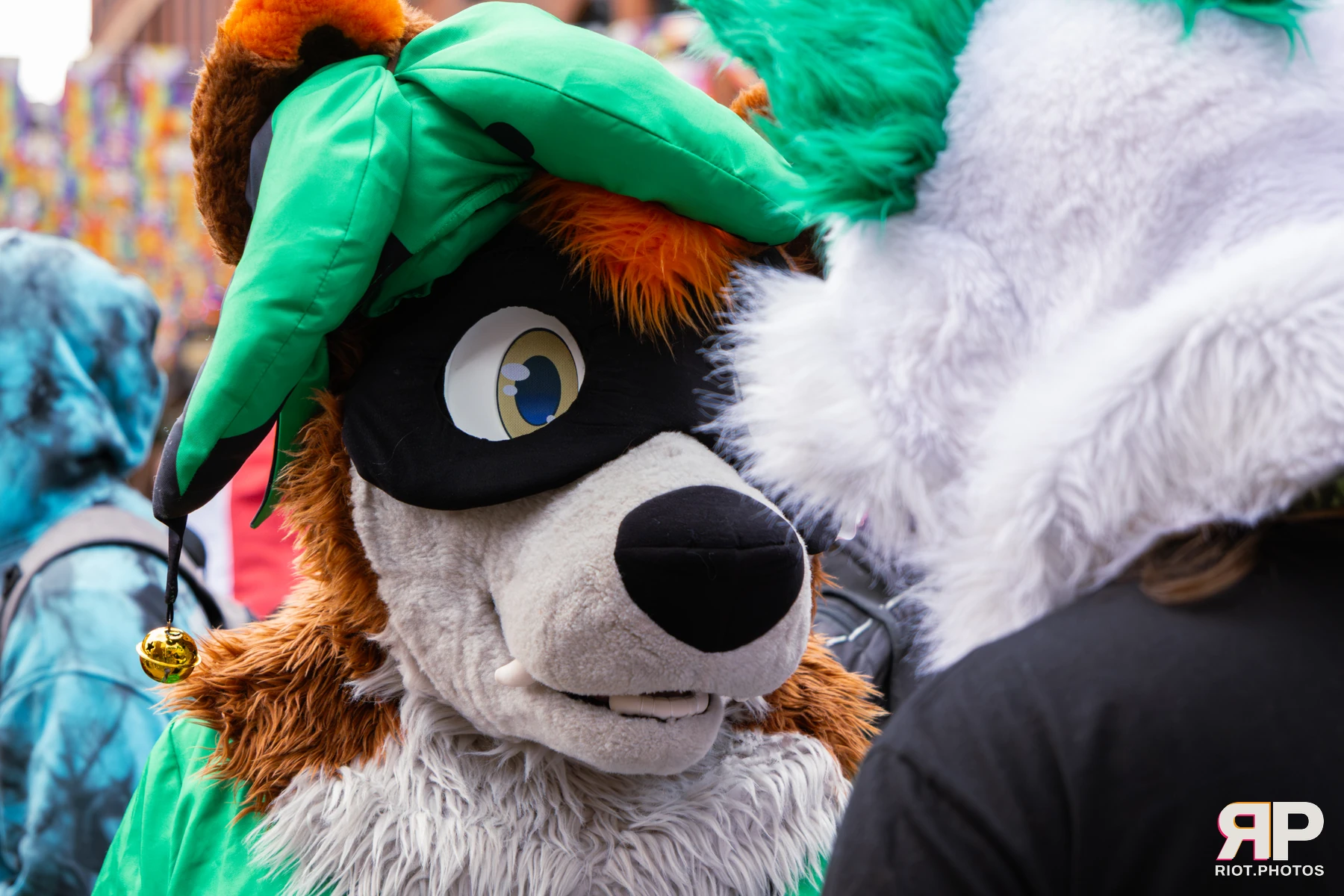 MancFurs - September, 2026 — 12 Sep 2026, Fluffy Riot photography — photo 54