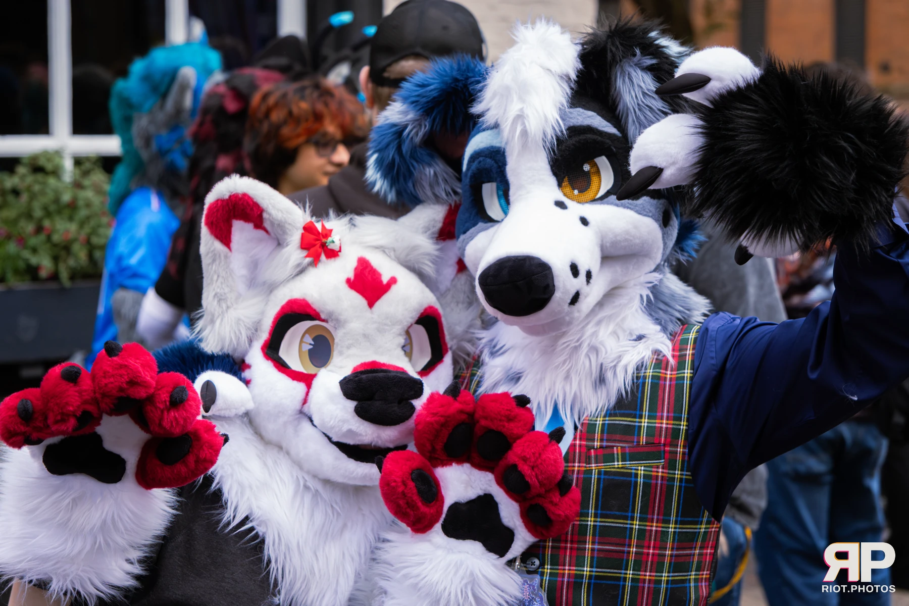 MancFurs - September, 2026 — 12 Sep 2026, Fluffy Riot photography — photo 55