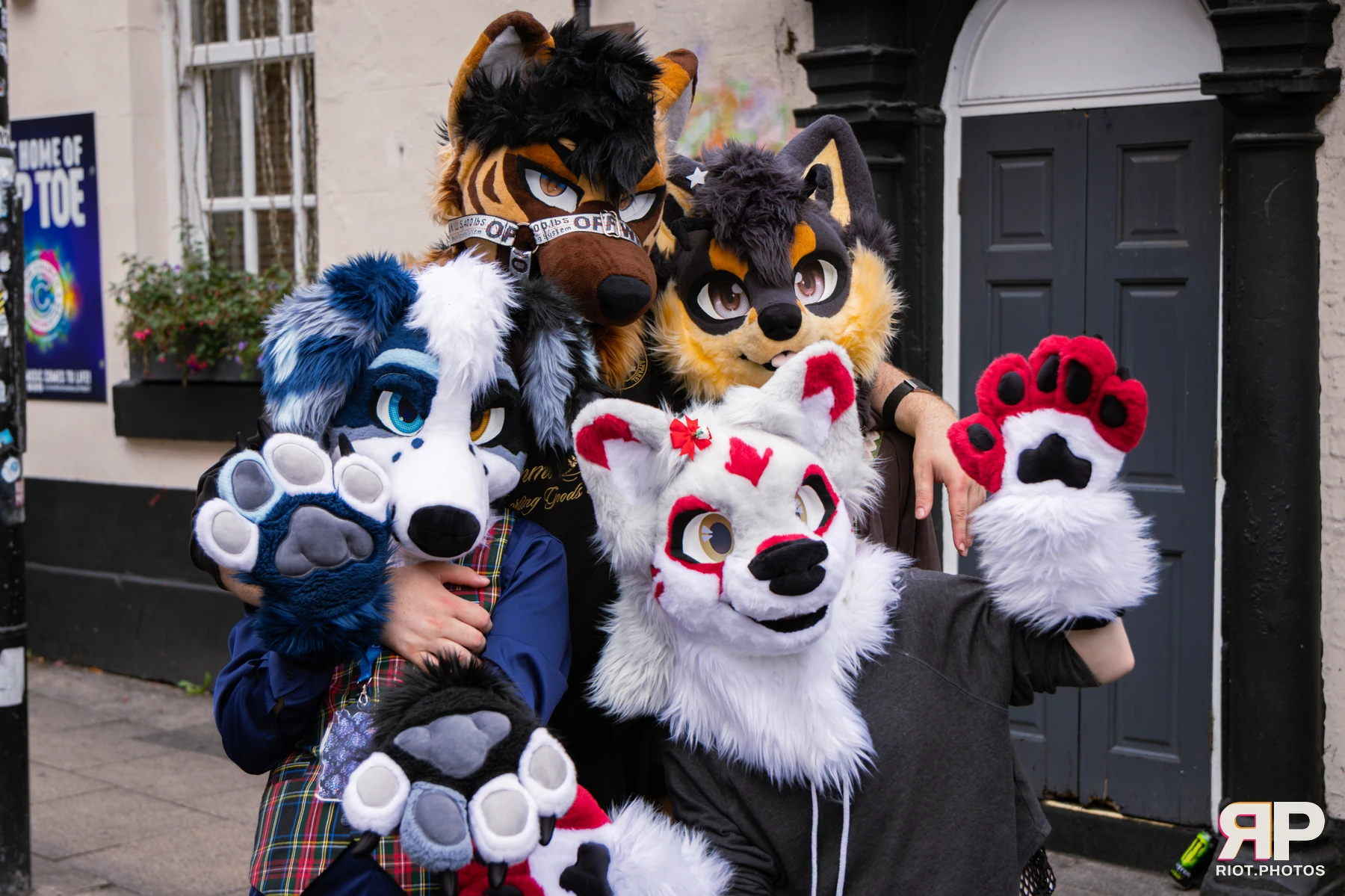 MancFurs - September, 2026 — 12 Sep 2026, Fluffy Riot photography — photo 57