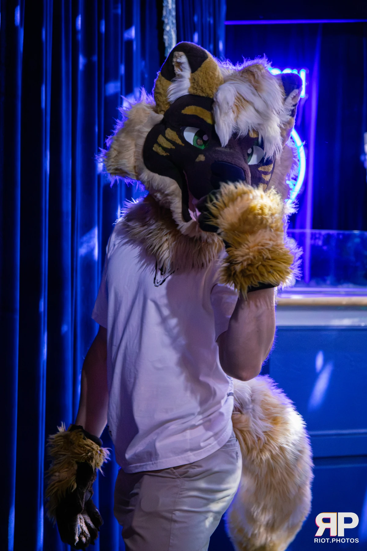 MancFurs - September, 2026 — 12 Sep 2026, Fluffy Riot photography — photo 59