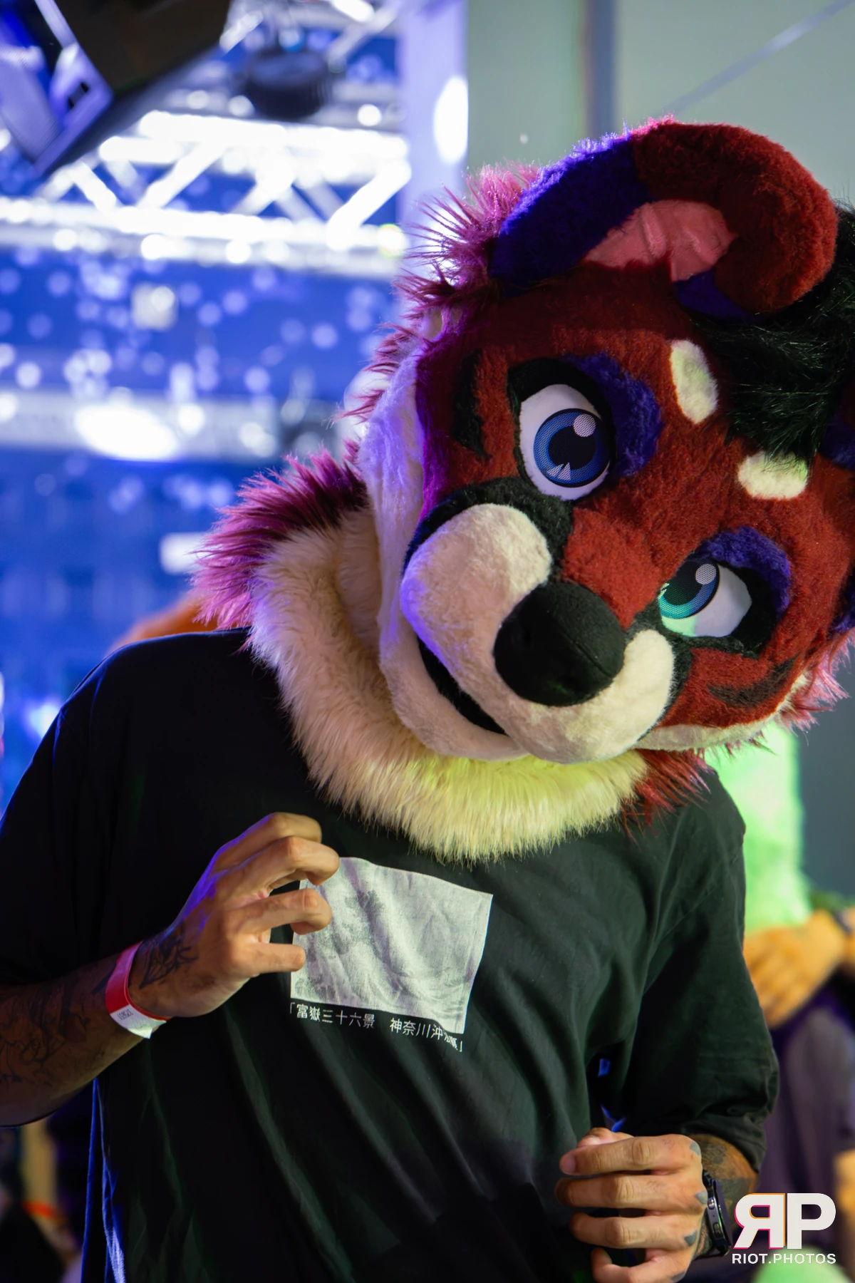 MancFurs - September, 2026 — 12 Sep 2026, Fluffy Riot photography — photo 61