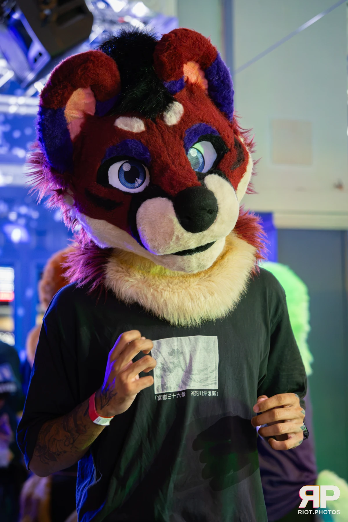 MancFurs - September, 2026 — 12 Sep 2026, Fluffy Riot photography — photo 62