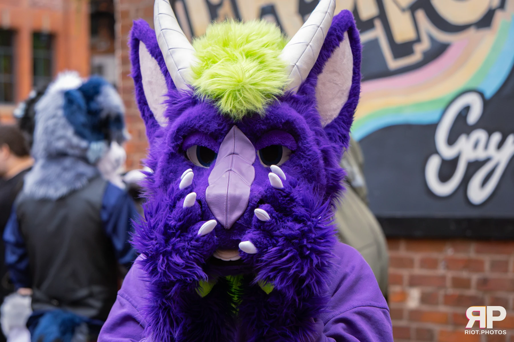 MancFurs - September, 2026 — 12 Sep 2026, Fluffy Riot photography — photo 65