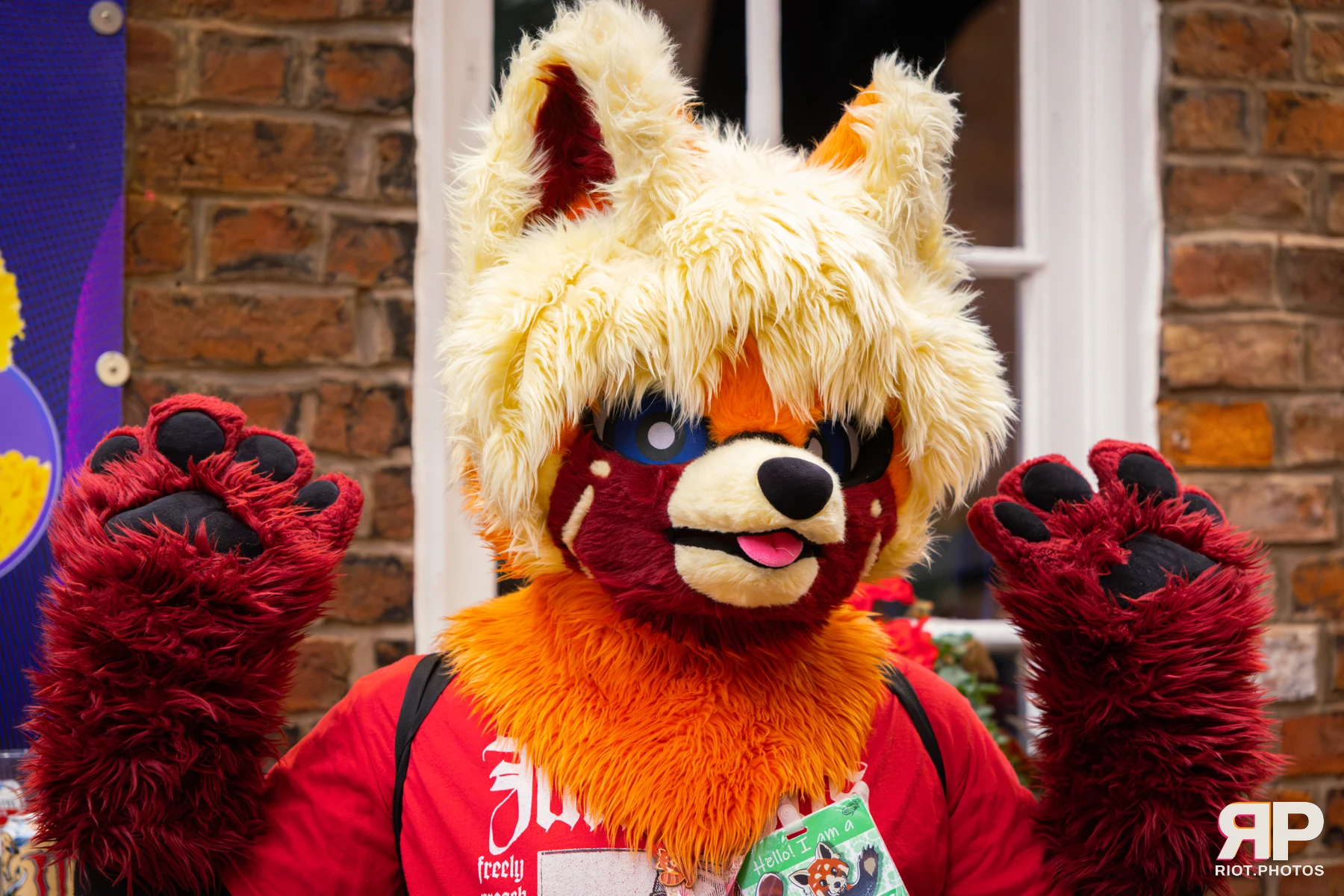 MancFurs - September, 2026 — 12 Sep 2026, Fluffy Riot photography — photo 66