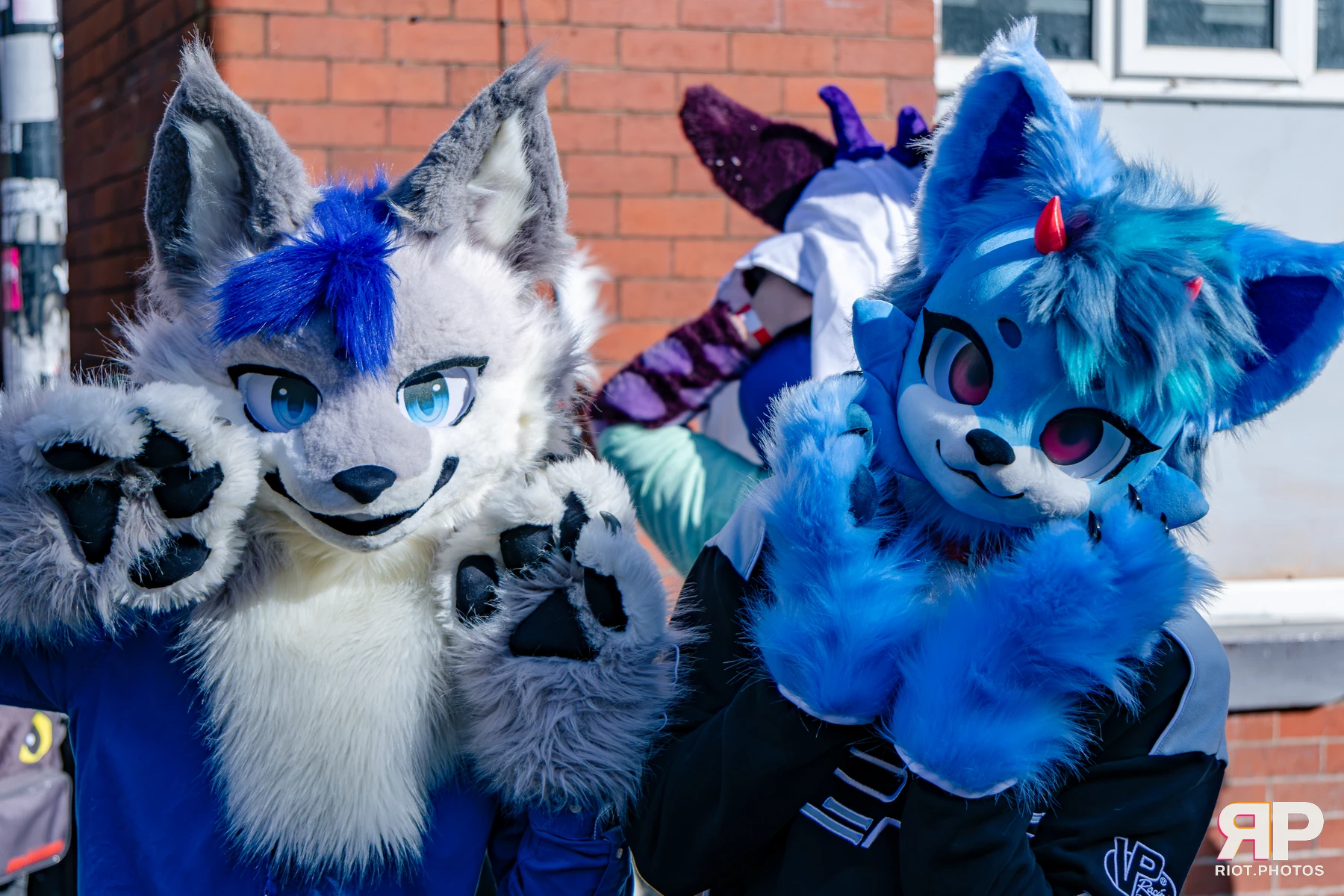 MancFurs - October, 2026 - 10 Oct 2026, Fluffy Riot photography - photo 90