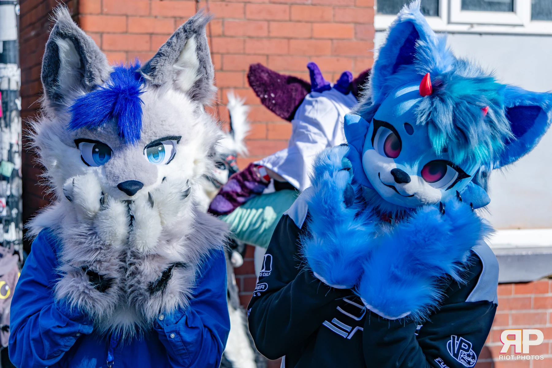 MancFurs - October, 2026 - 10 Oct 2026, Fluffy Riot photography - photo 89