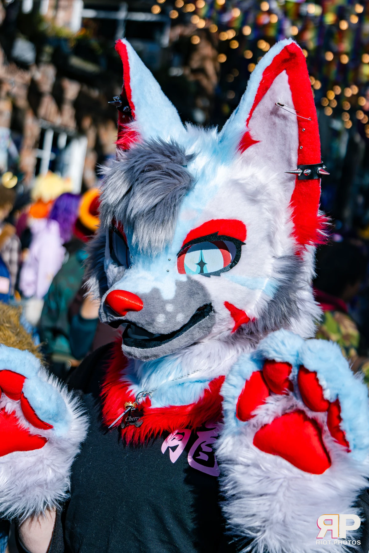 MancFurs - October, 2026 - 10 Oct 2026, Fluffy Riot photography - photo 83