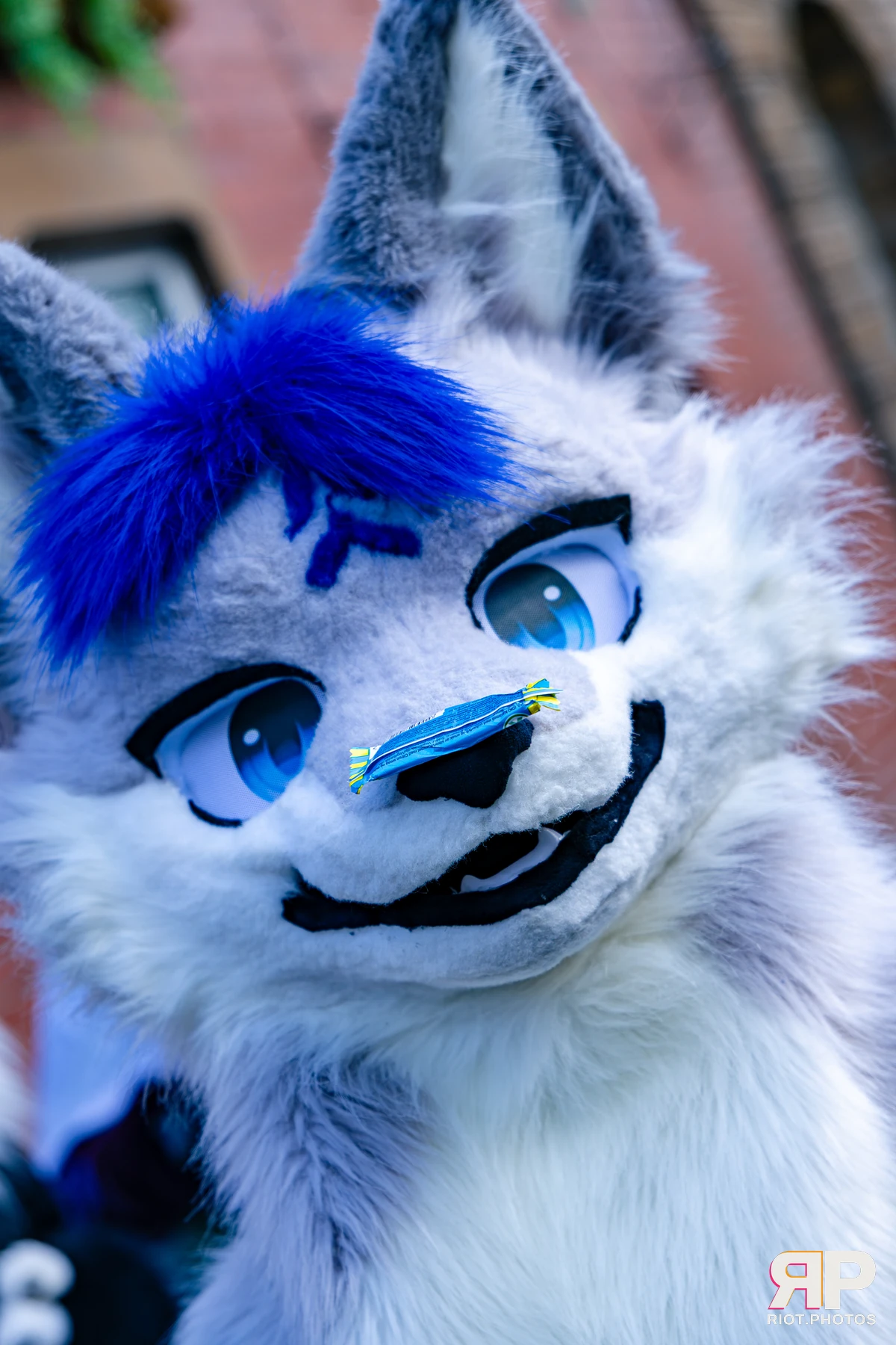 MancFurs - October, 2026 - 10 Oct 2026, Fluffy Riot photography - photo 79