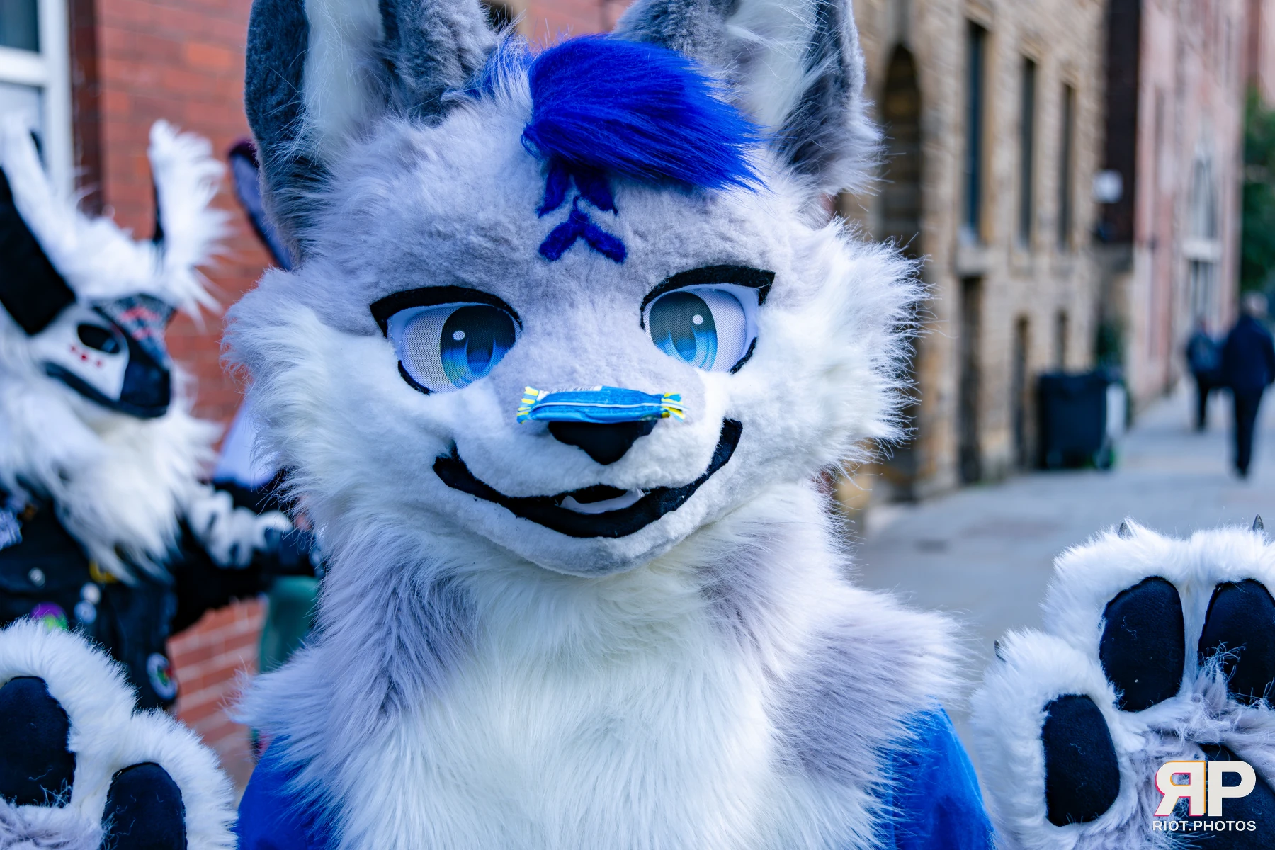 MancFurs - October, 2026 - 10 Oct 2026, Fluffy Riot photography - photo 78