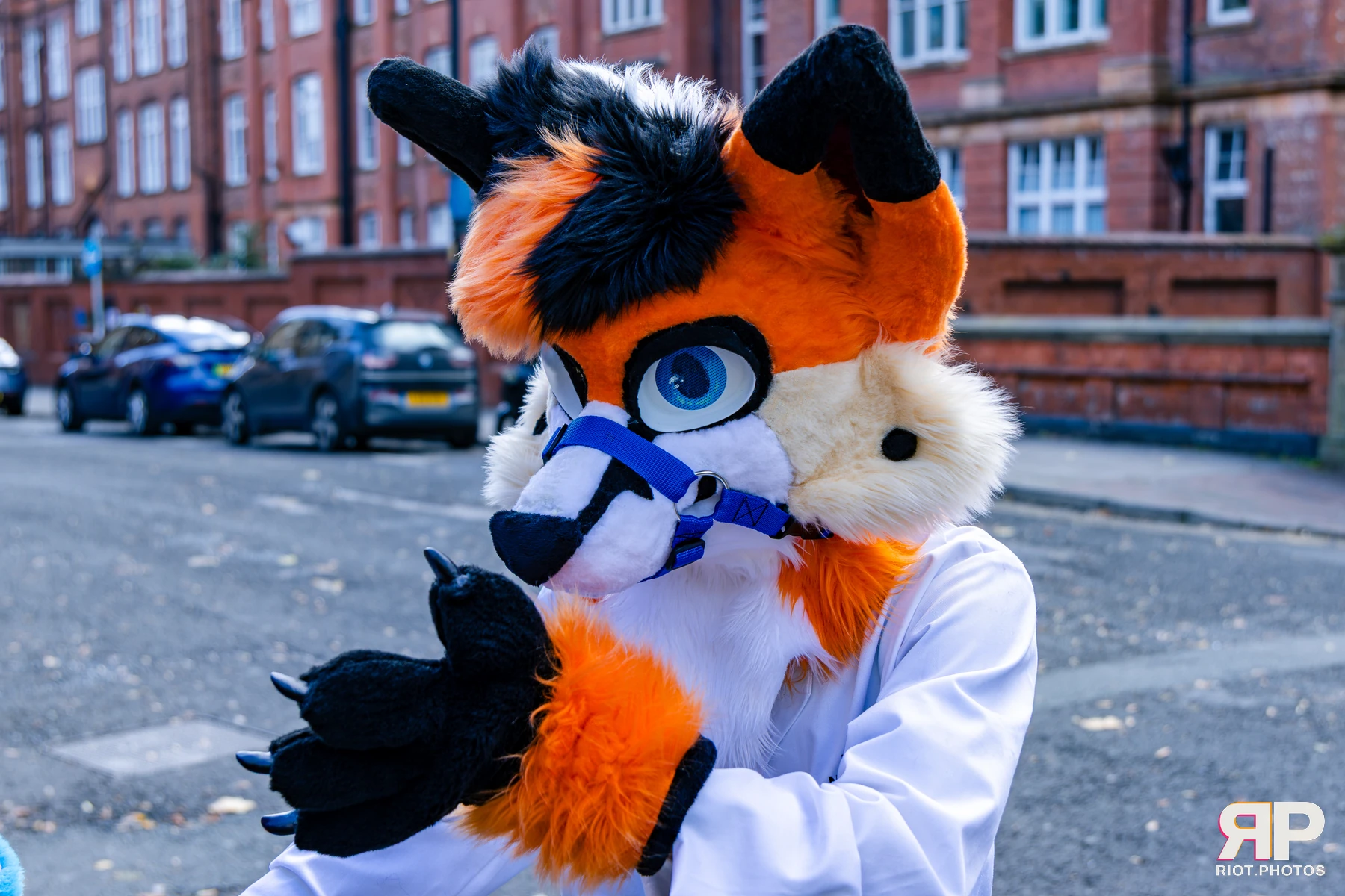 MancFurs - October, 2026 - 10 Oct 2026, Fluffy Riot photography - photo 73