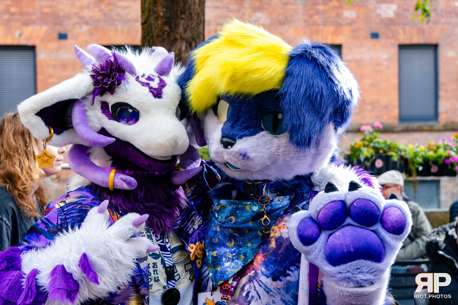 MancFurs - October, 2026 - 10 Oct 2026, Fluffy Riot photography - photo 70