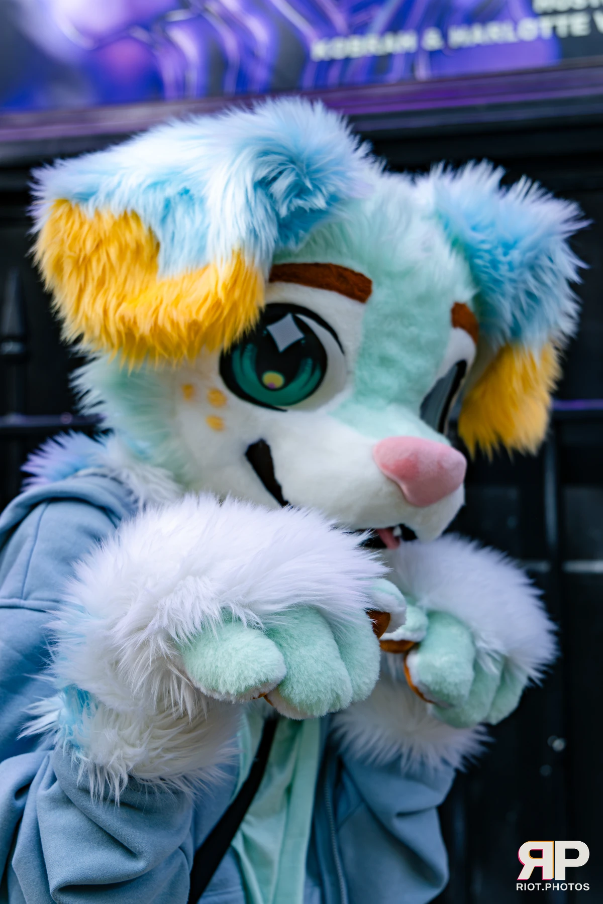 MancFurs - October, 2026 - 10 Oct 2026, Fluffy Riot photography - photo 69