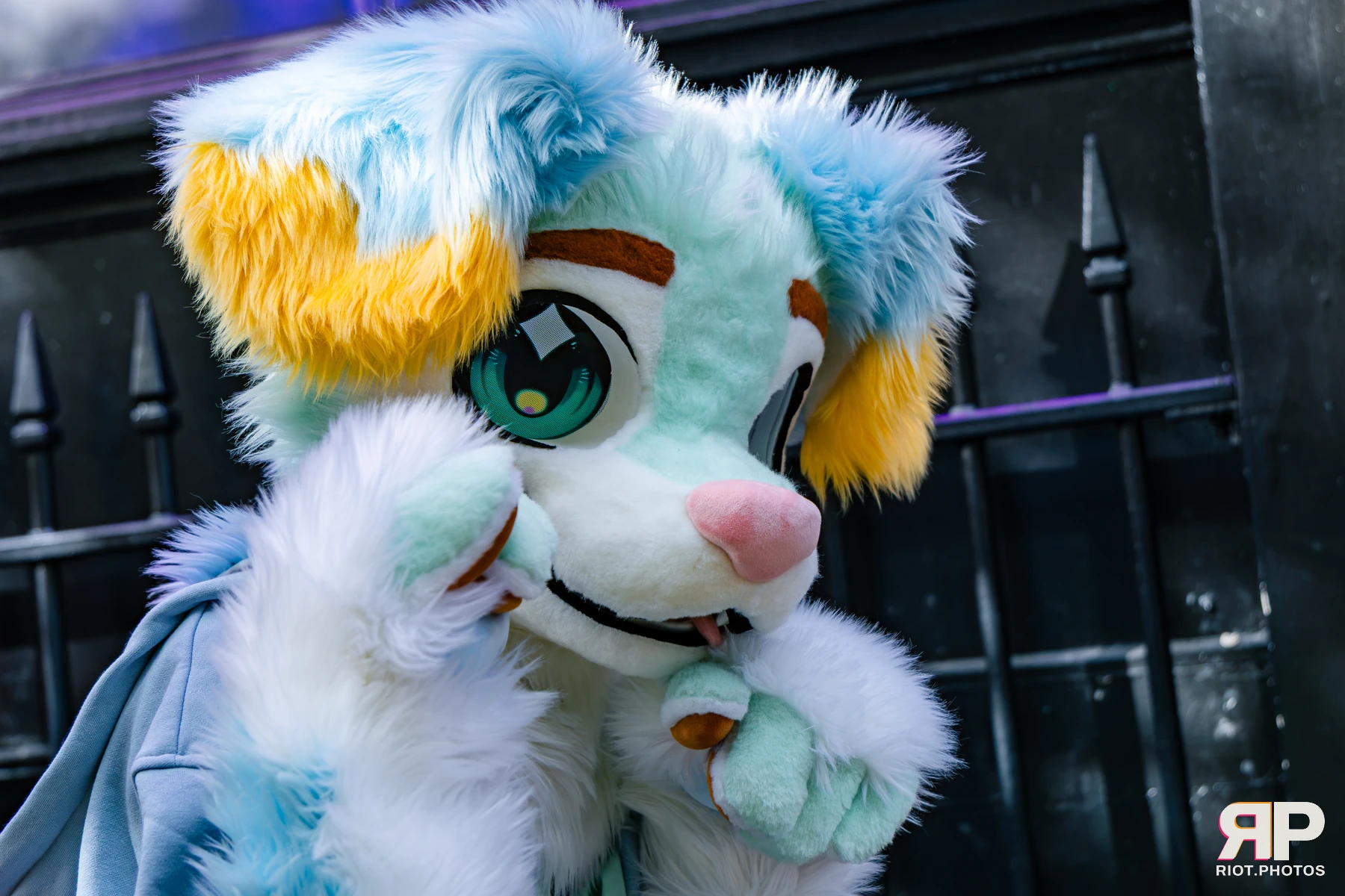MancFurs - October, 2026 - 10 Oct 2026, Fluffy Riot photography - photo 68