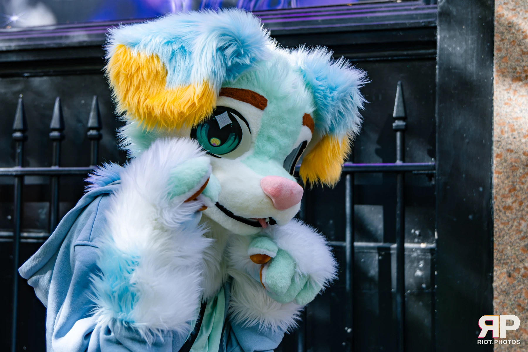 MancFurs - October, 2026 - 10 Oct 2026, Fluffy Riot photography - photo 67