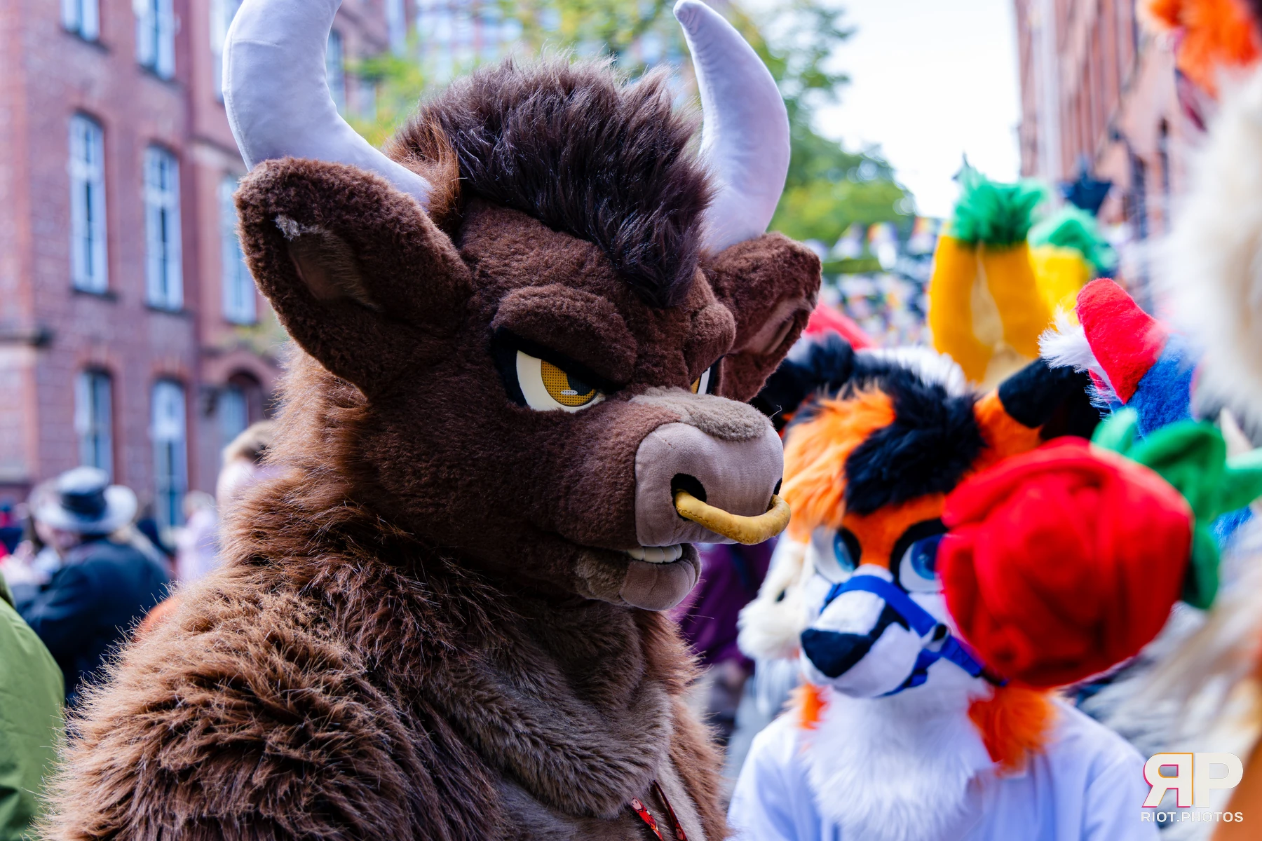 MancFurs - October, 2026 - 10 Oct 2026, Fluffy Riot photography - photo 64