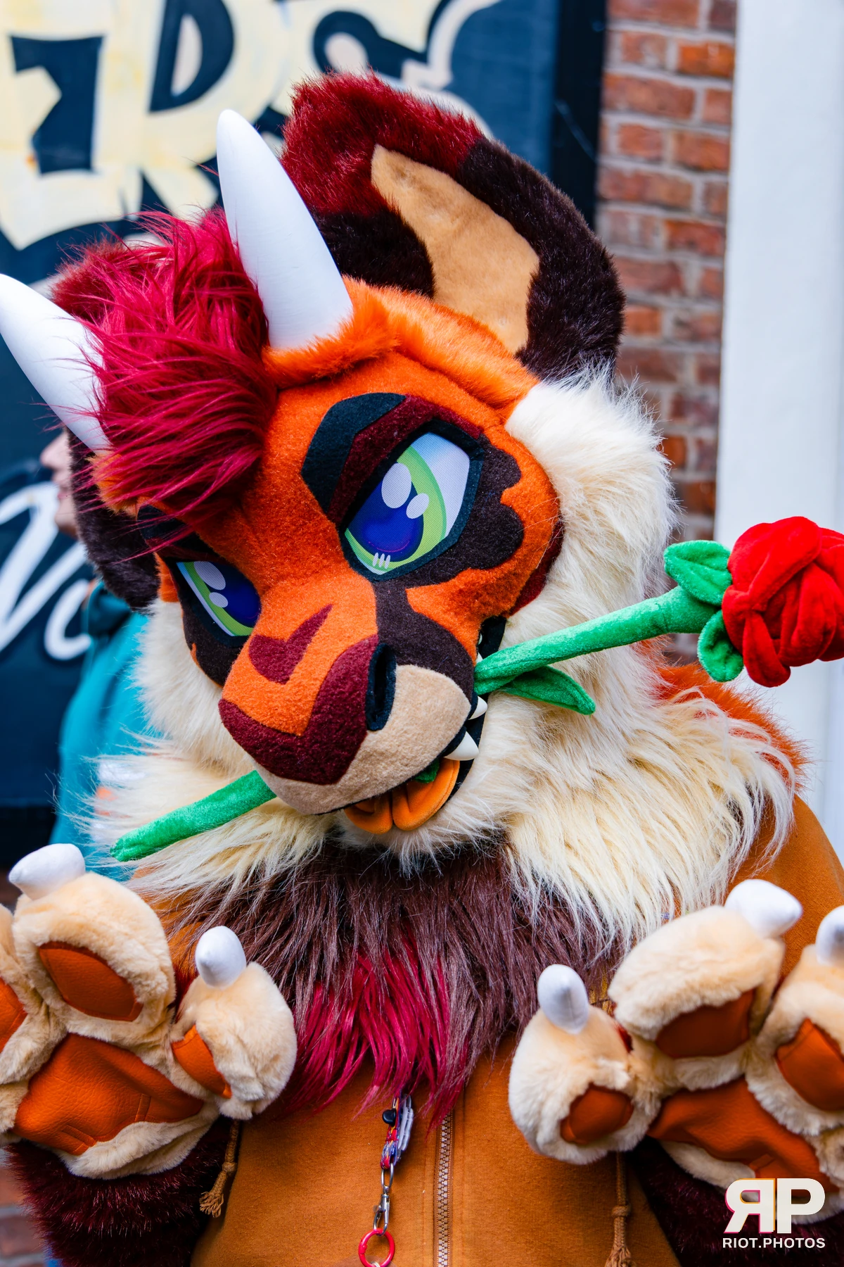 MancFurs - October, 2026 - 10 Oct 2026, Fluffy Riot photography - photo 63