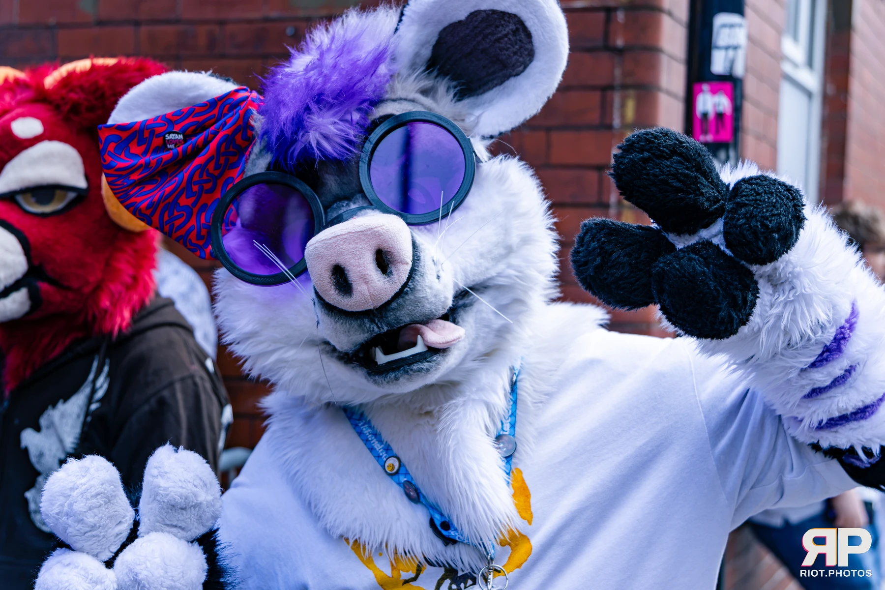 MancFurs - October, 2026 - 10 Oct 2026, Fluffy Riot photography - photo 61