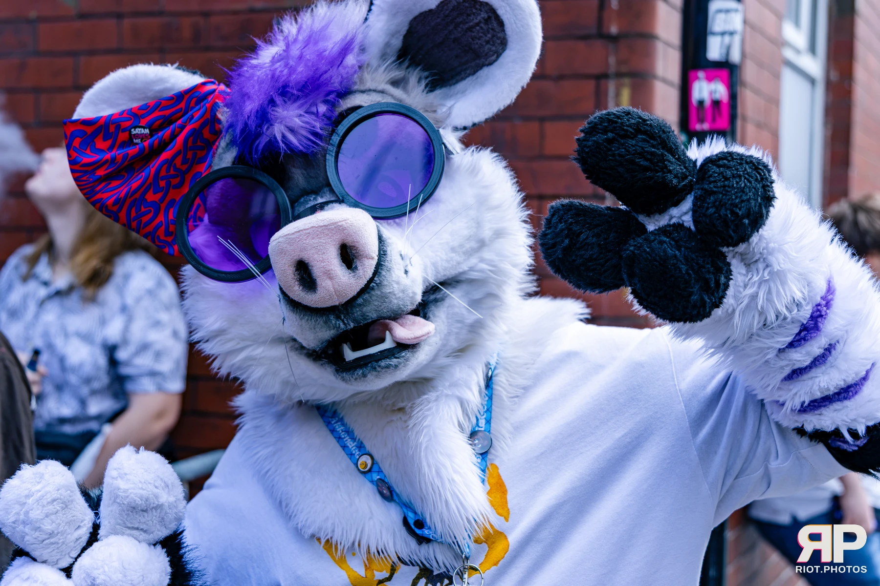 MancFurs - October, 2026 - 10 Oct 2026, Fluffy Riot photography - photo 60