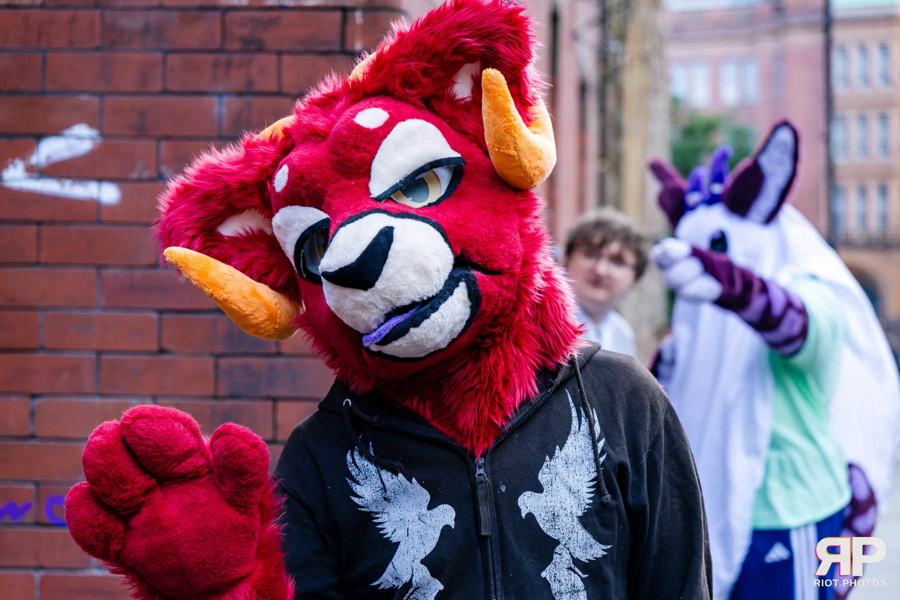 MancFurs - October, 2026 - 10 Oct 2026, Fluffy Riot photography - photo 57