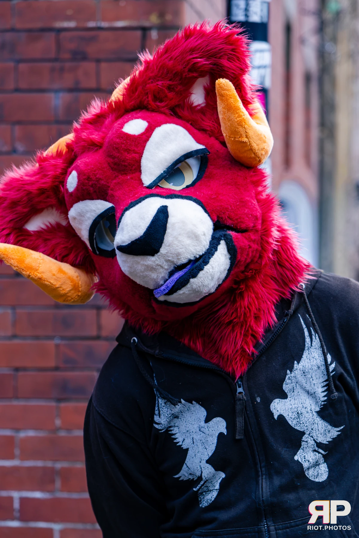 MancFurs - October, 2026 - 10 Oct 2026, Fluffy Riot photography - photo 56