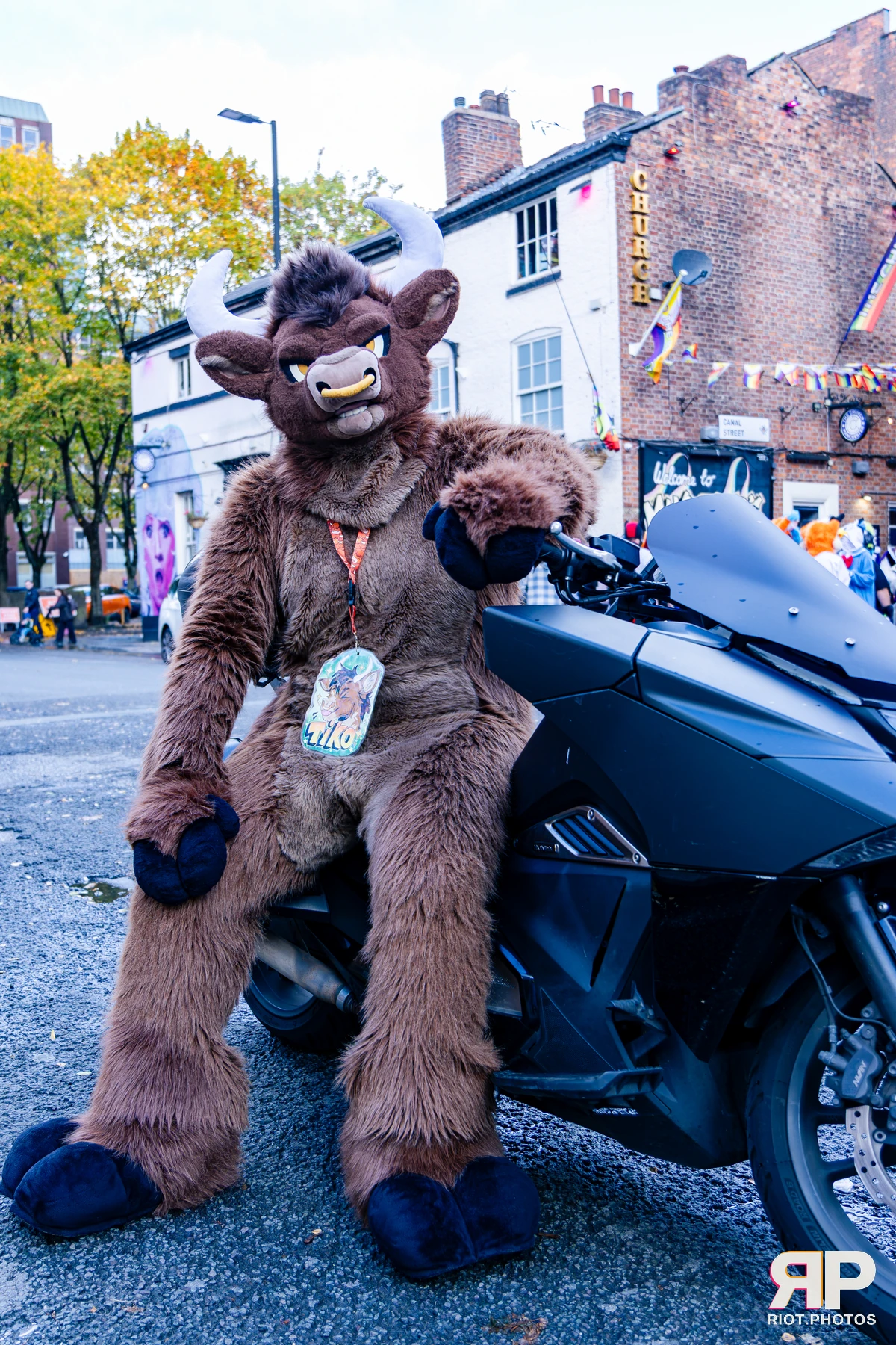 MancFurs - October, 2026 - 10 Oct 2026, Fluffy Riot photography - photo 49