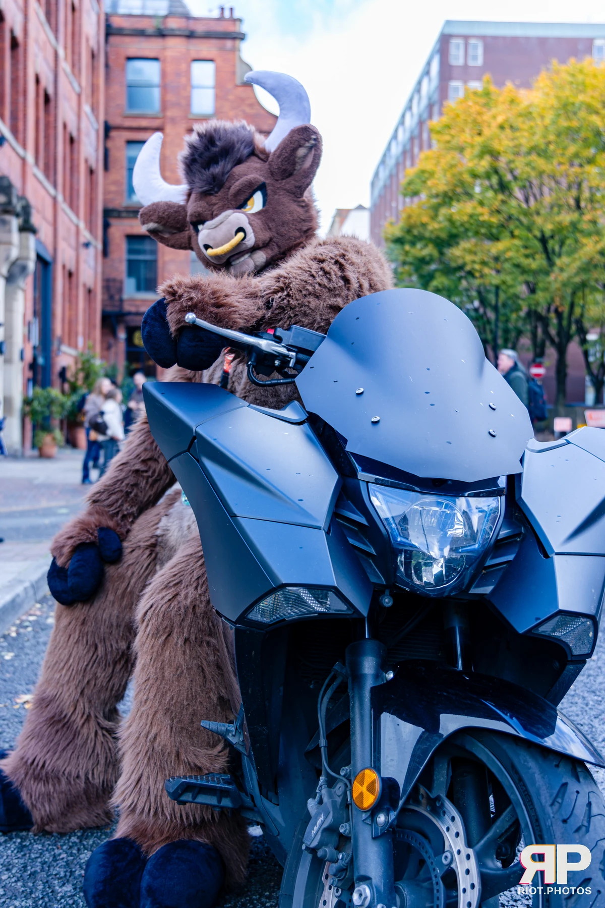 MancFurs - October, 2026 - 10 Oct 2026, Fluffy Riot photography - photo 48