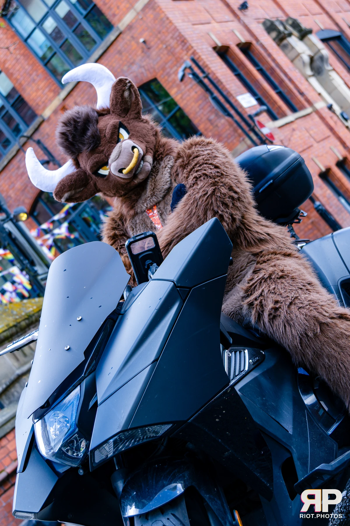 MancFurs - October, 2026 - 10 Oct 2026, Fluffy Riot photography - photo 44