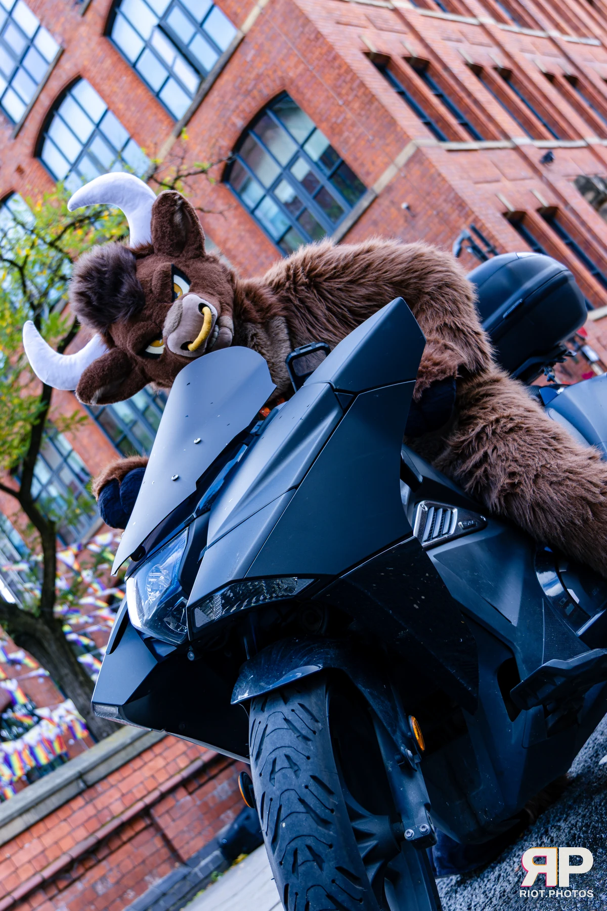 MancFurs - October, 2026 - 10 Oct 2026, Fluffy Riot photography - photo 43