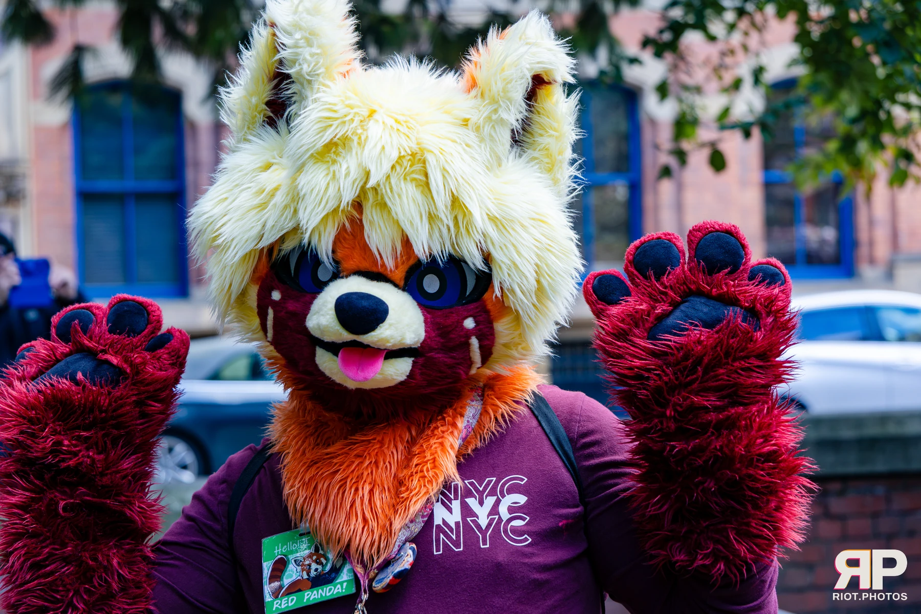 MancFurs - October, 2026 - 10 Oct 2026, Fluffy Riot photography - photo 41
