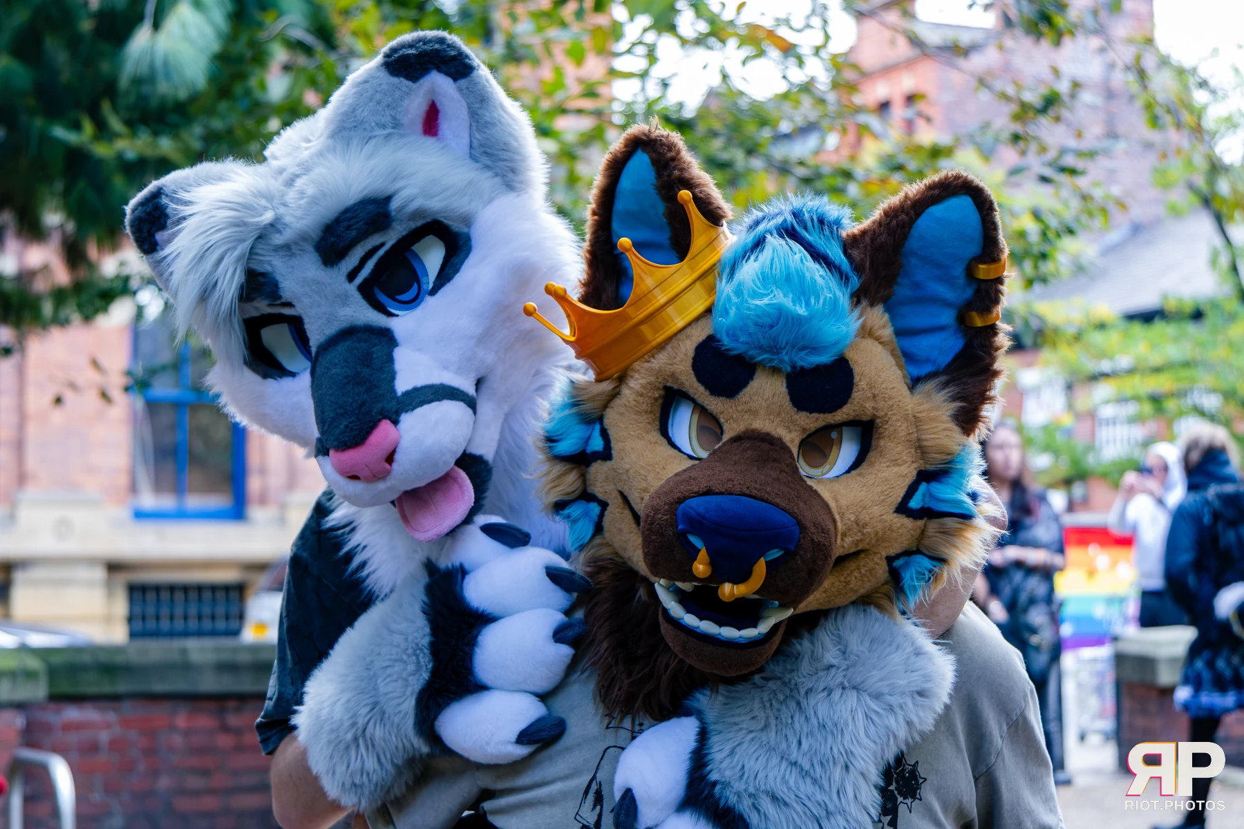 MancFurs - October, 2026 - 10 Oct 2026, Fluffy Riot photography - photo 40
