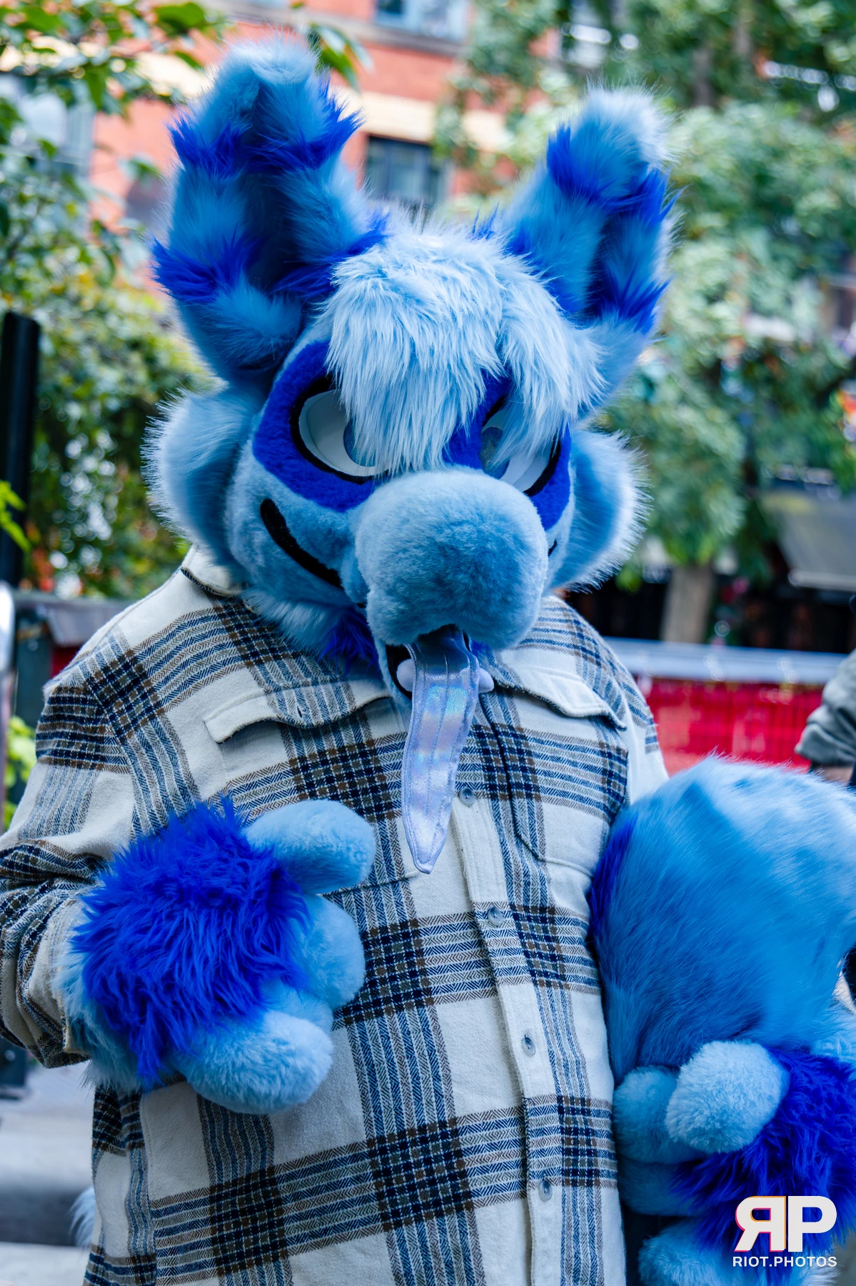 MancFurs - October, 2026 - 10 Oct 2026, Fluffy Riot photography - photo 38