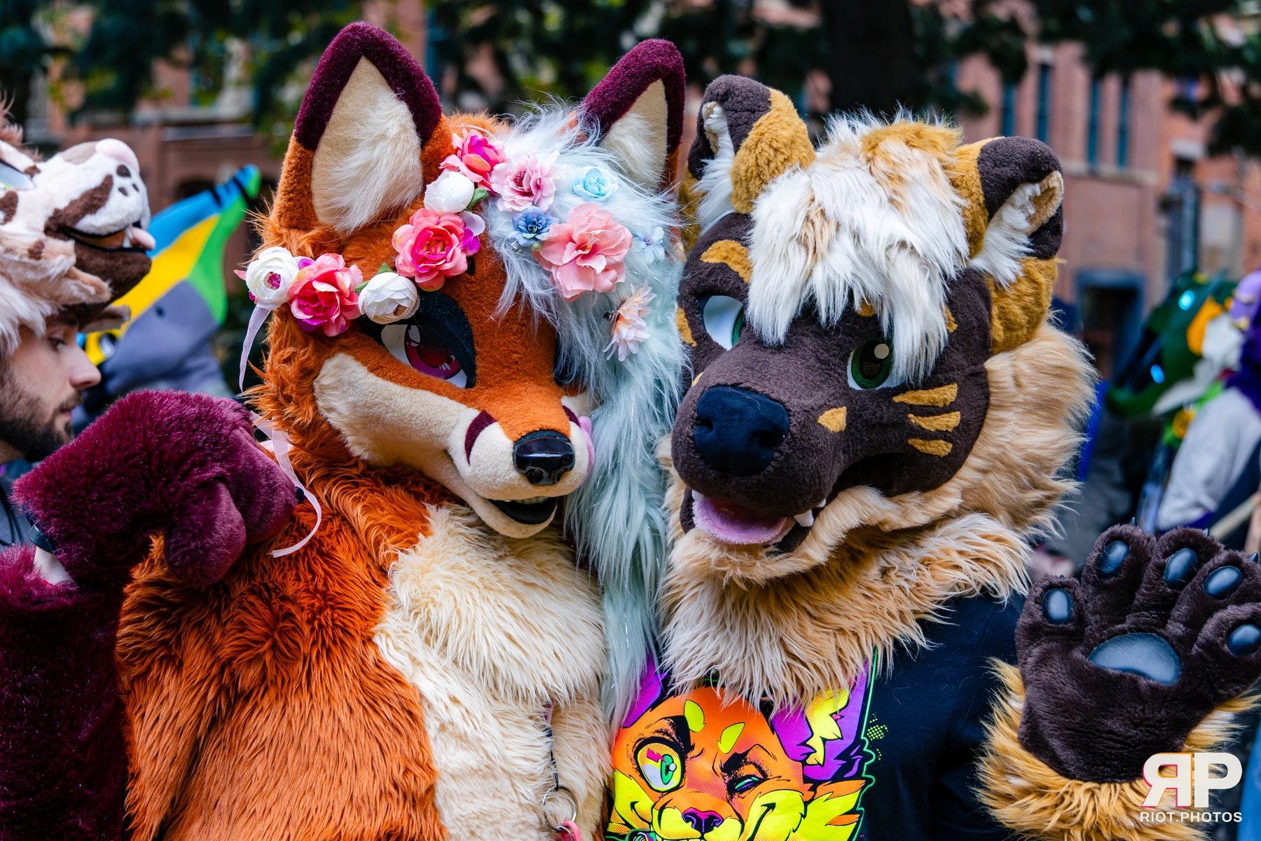 MancFurs - October, 2026 - 10 Oct 2026, Fluffy Riot photography - photo 37