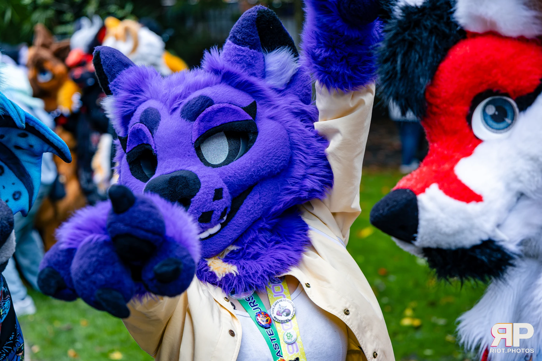 MancFurs - October, 2026 - 10 Oct 2026, Fluffy Riot photography - photo 35