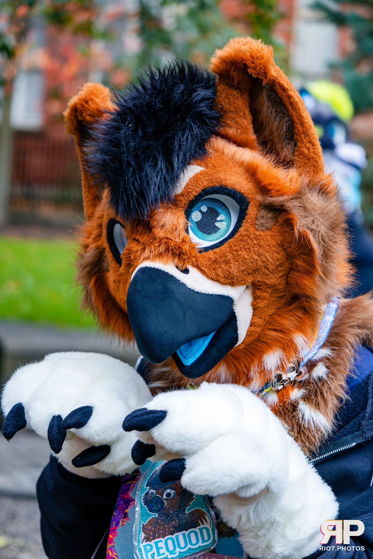 MancFurs - October, 2026 - 10 Oct 2026, Fluffy Riot photography - photo 33