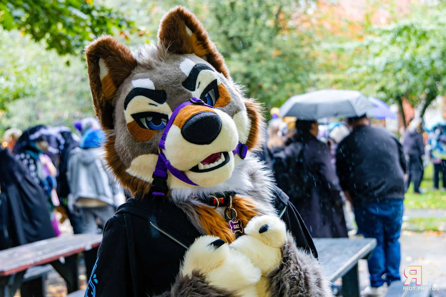 MancFurs - October, 2026 - 10 Oct 2026, Fluffy Riot photography - photo 27